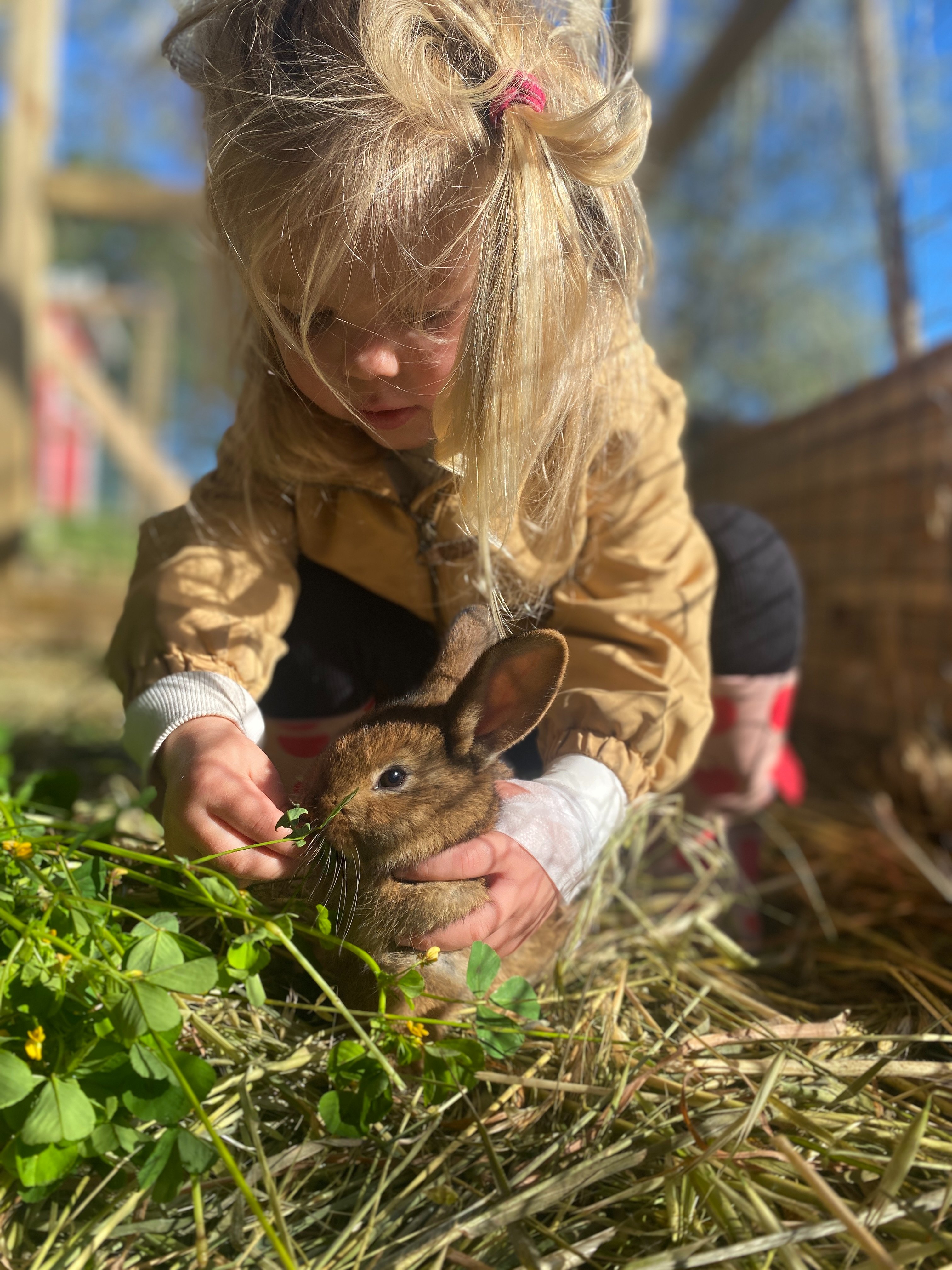 Help Riselva School Grow campaign photo, 4 of 8