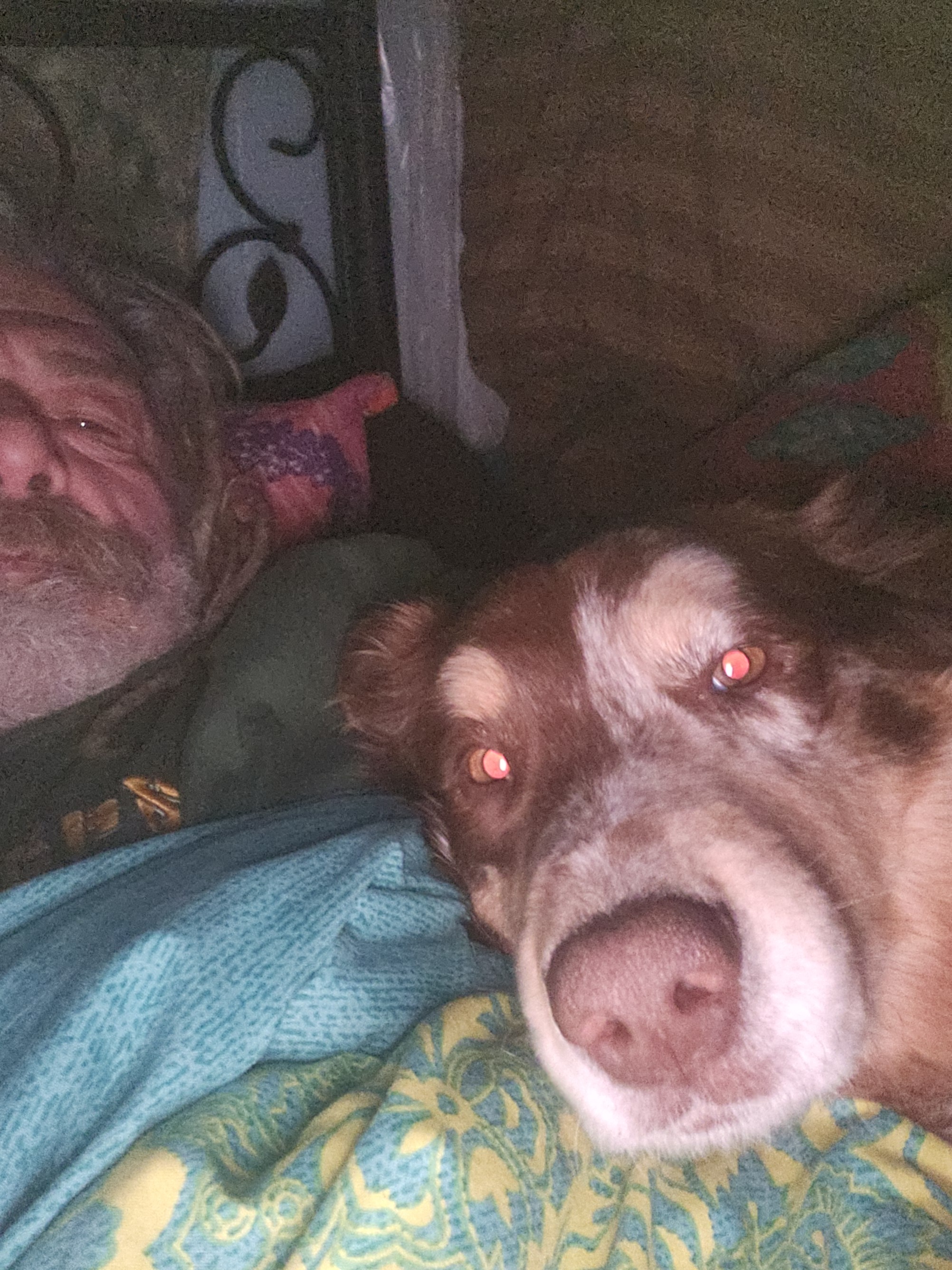 Help a Vet and His Dogs Survive on the River campaign photo, 5 of 6