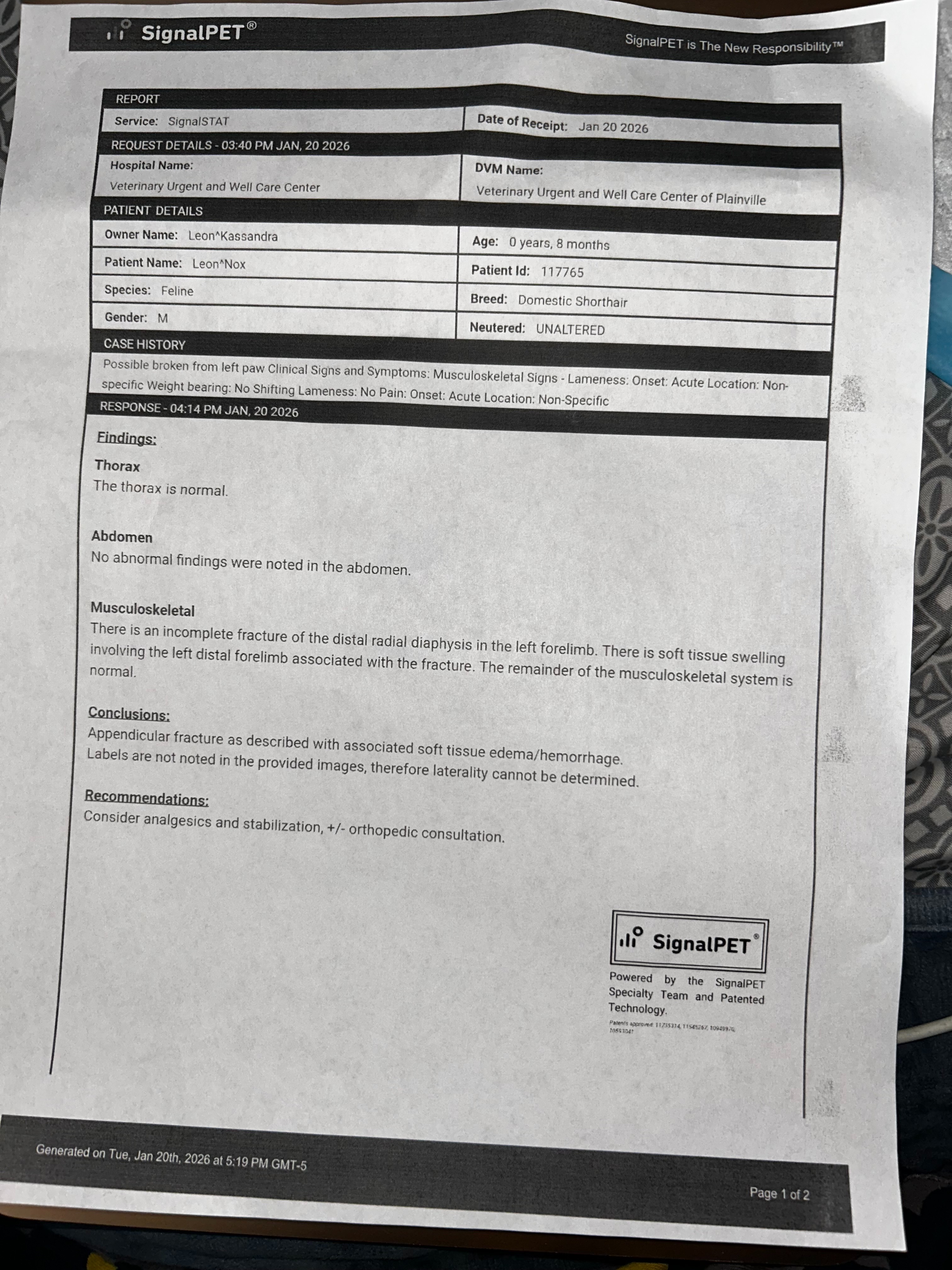 Help Cover Surgery for My Injured Kitten Knox campaign photo, 4 of 7