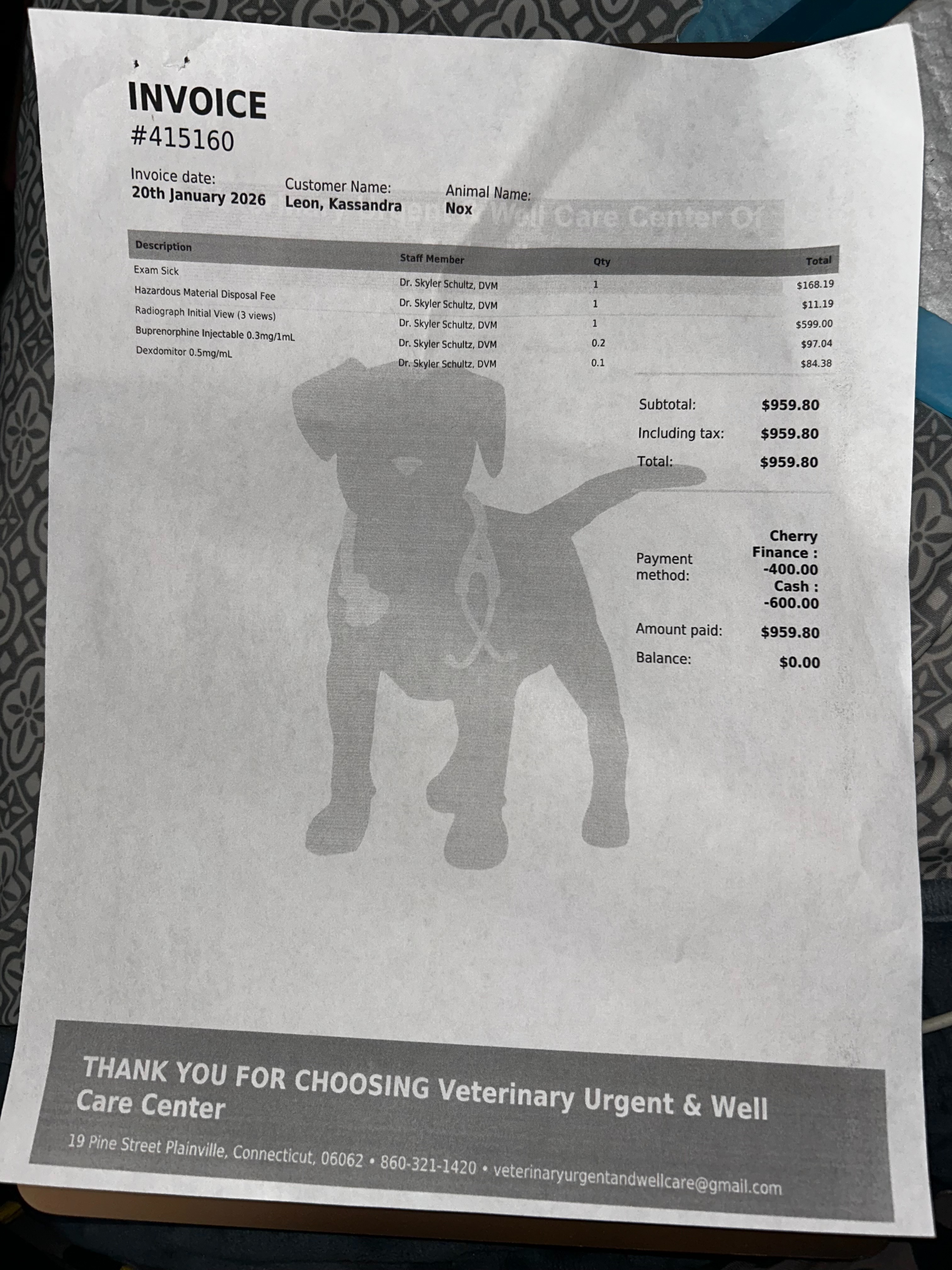 Help Cover Surgery for My Injured Kitten Knox campaign photo, 5 of 7