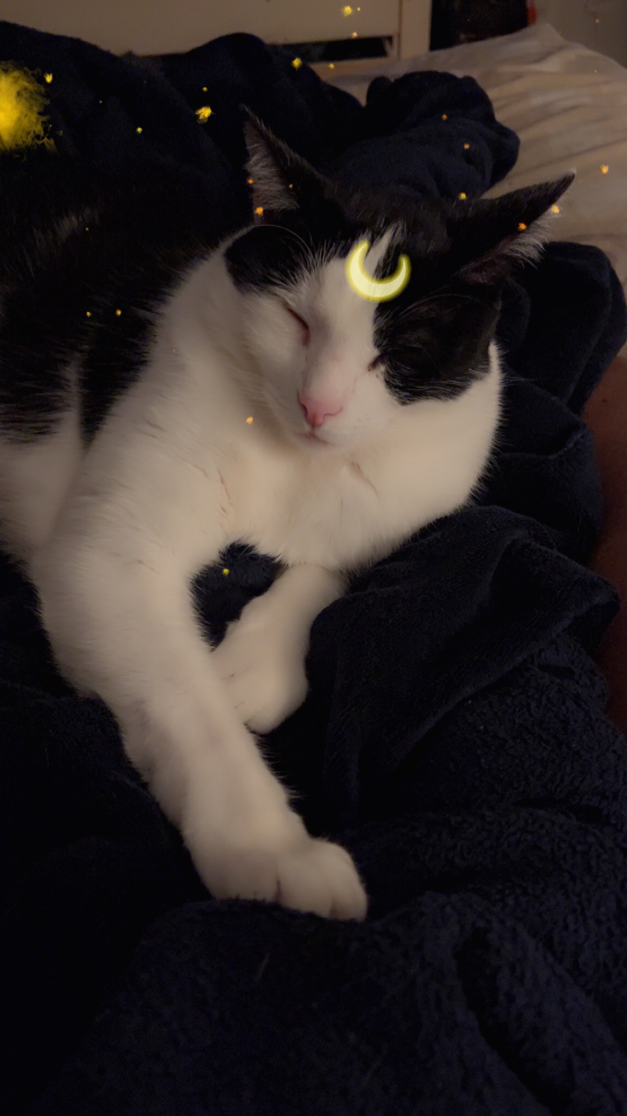 Help Phtolmy Get His Life-Saving Surgery campaign photo, 4 of 5