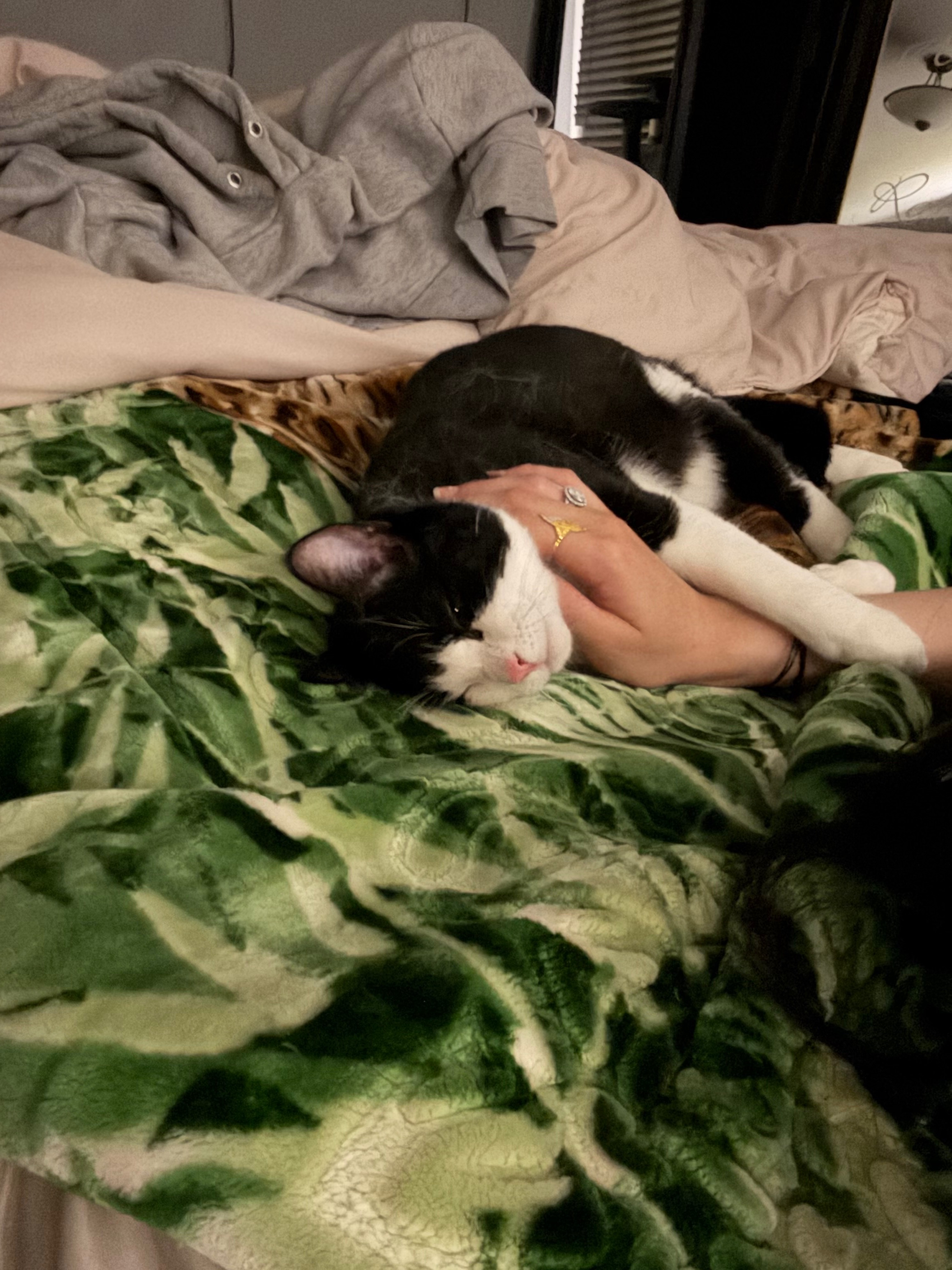 Support Zaatar’s Urgent Surgery Needs campaign photo, 2 of 7