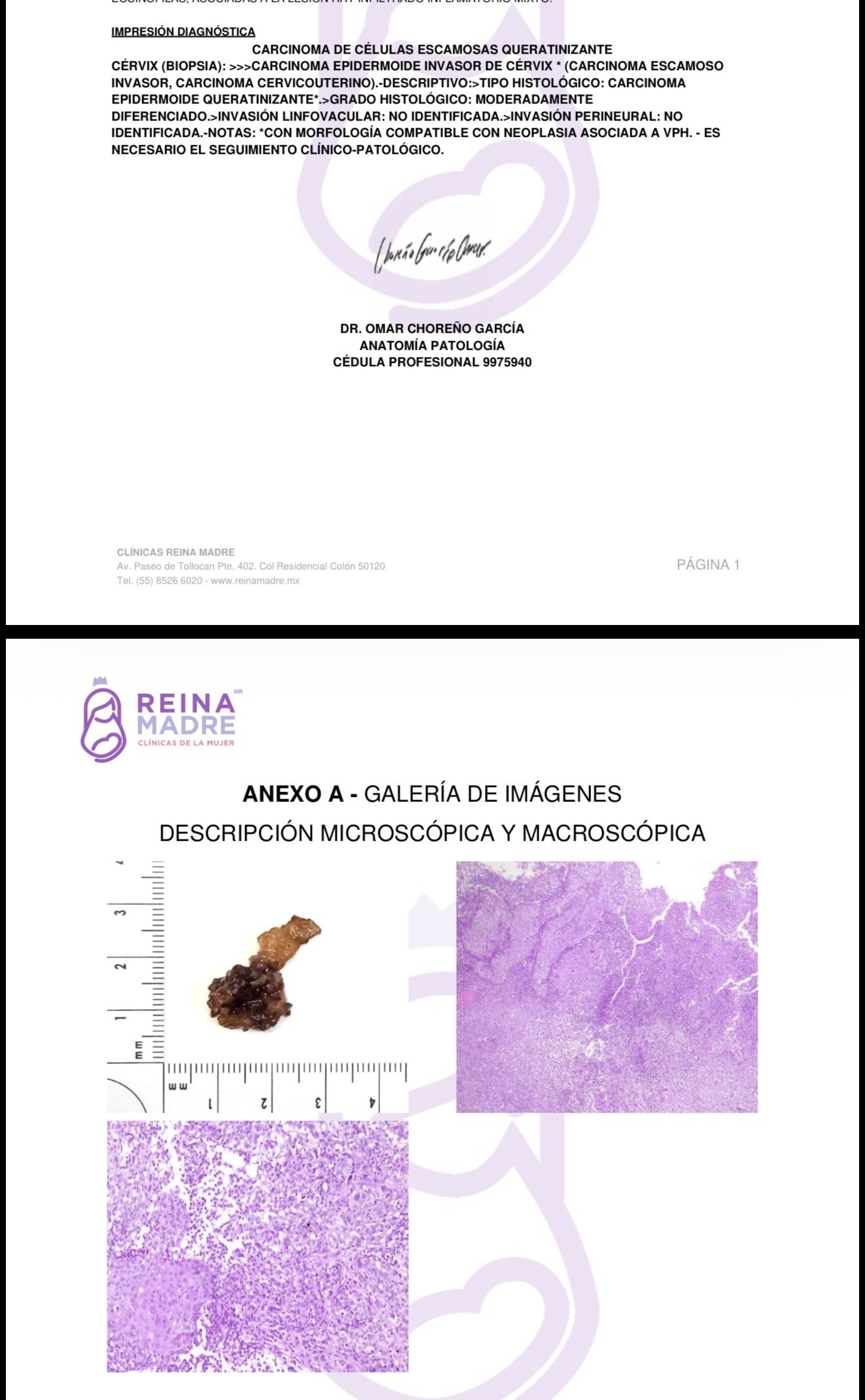 Ayúdame a luchar contra el cáncer y a seguir con vida. campaign photo, 6 of 7