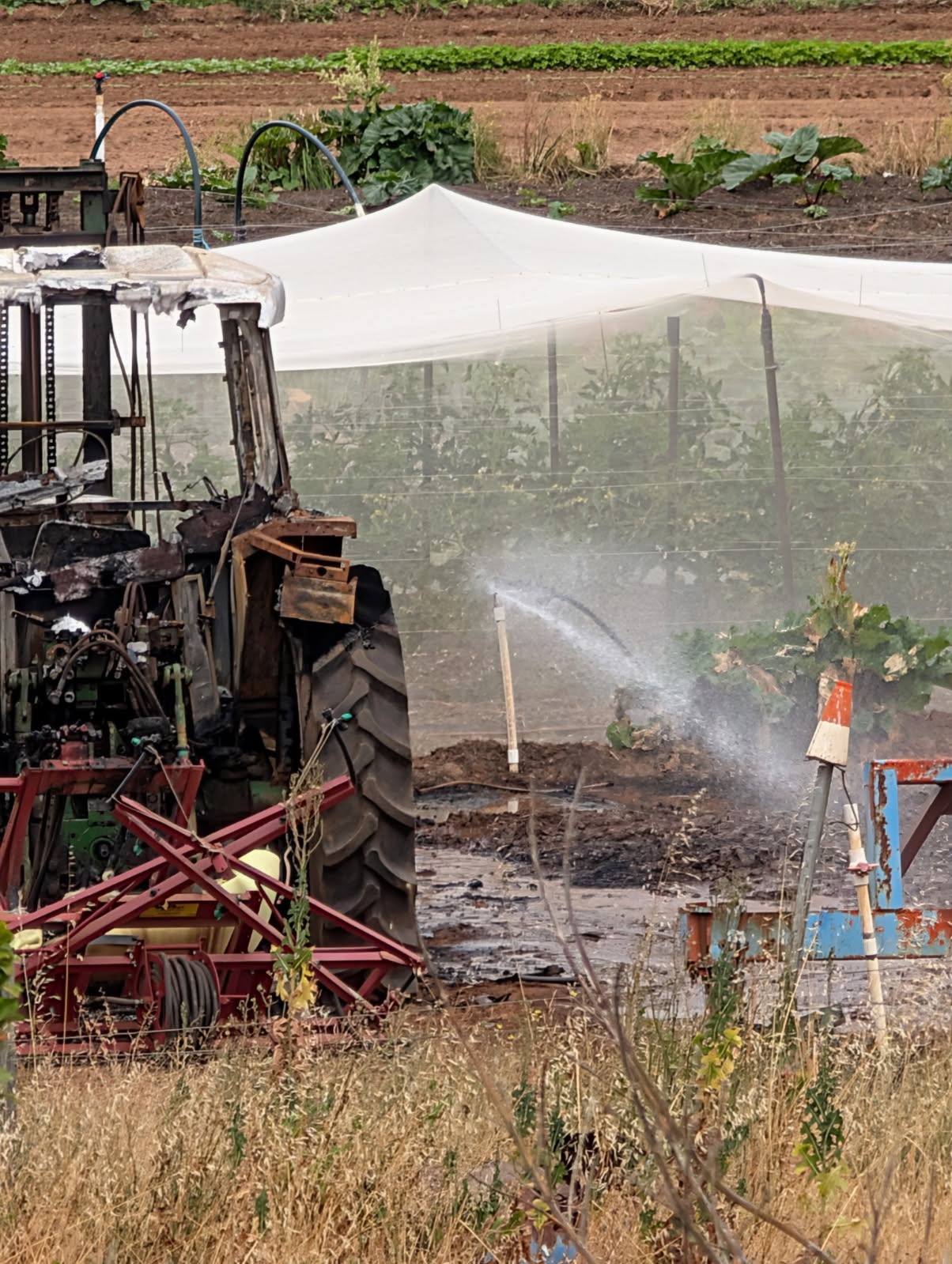 Melbourne market garden, Remi's Patch, needs your help! campaign photo, 2 of 7