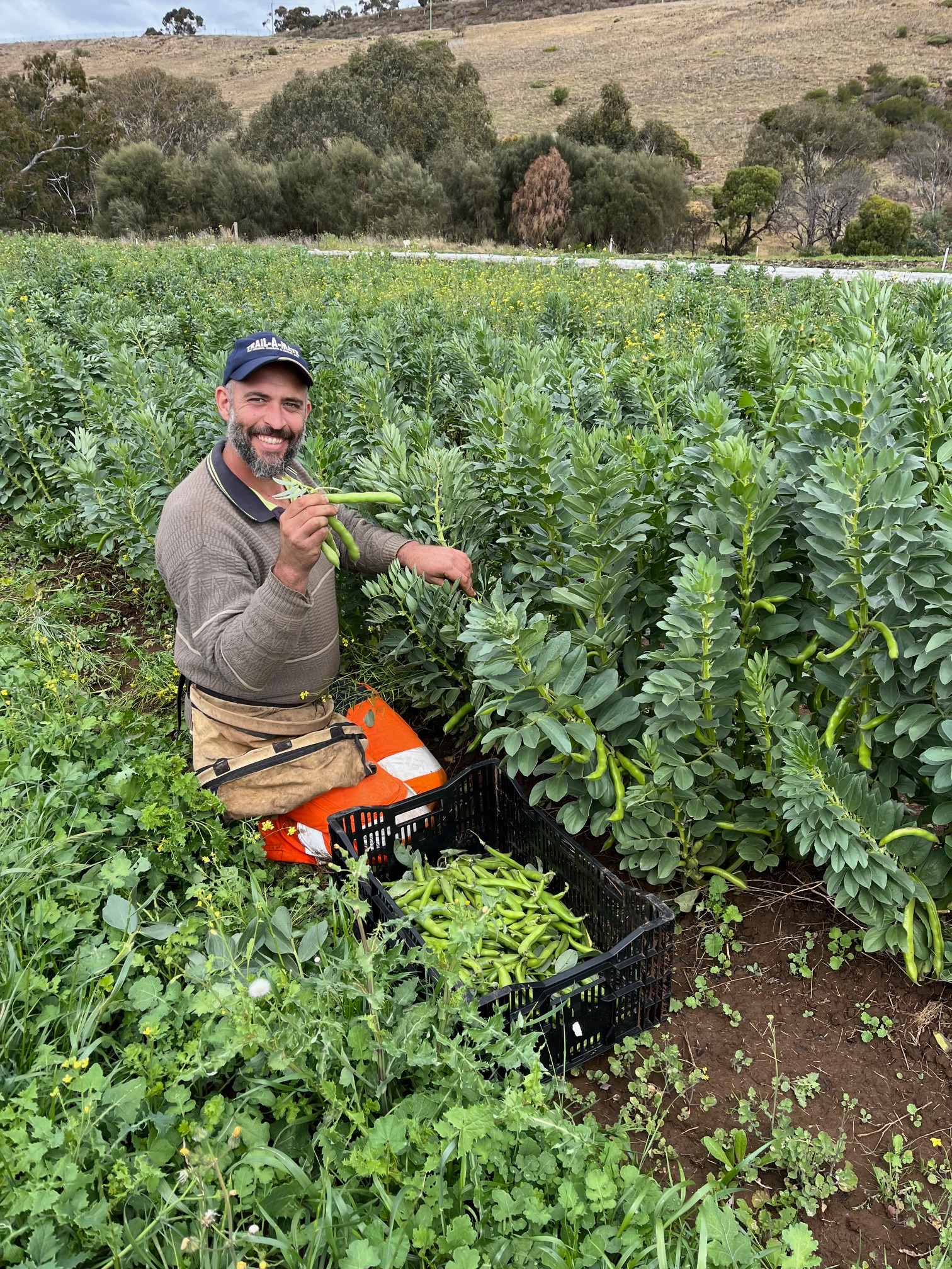 Melbourne market garden, Remi's Patch, needs your help! campaign photo, 6 of 7