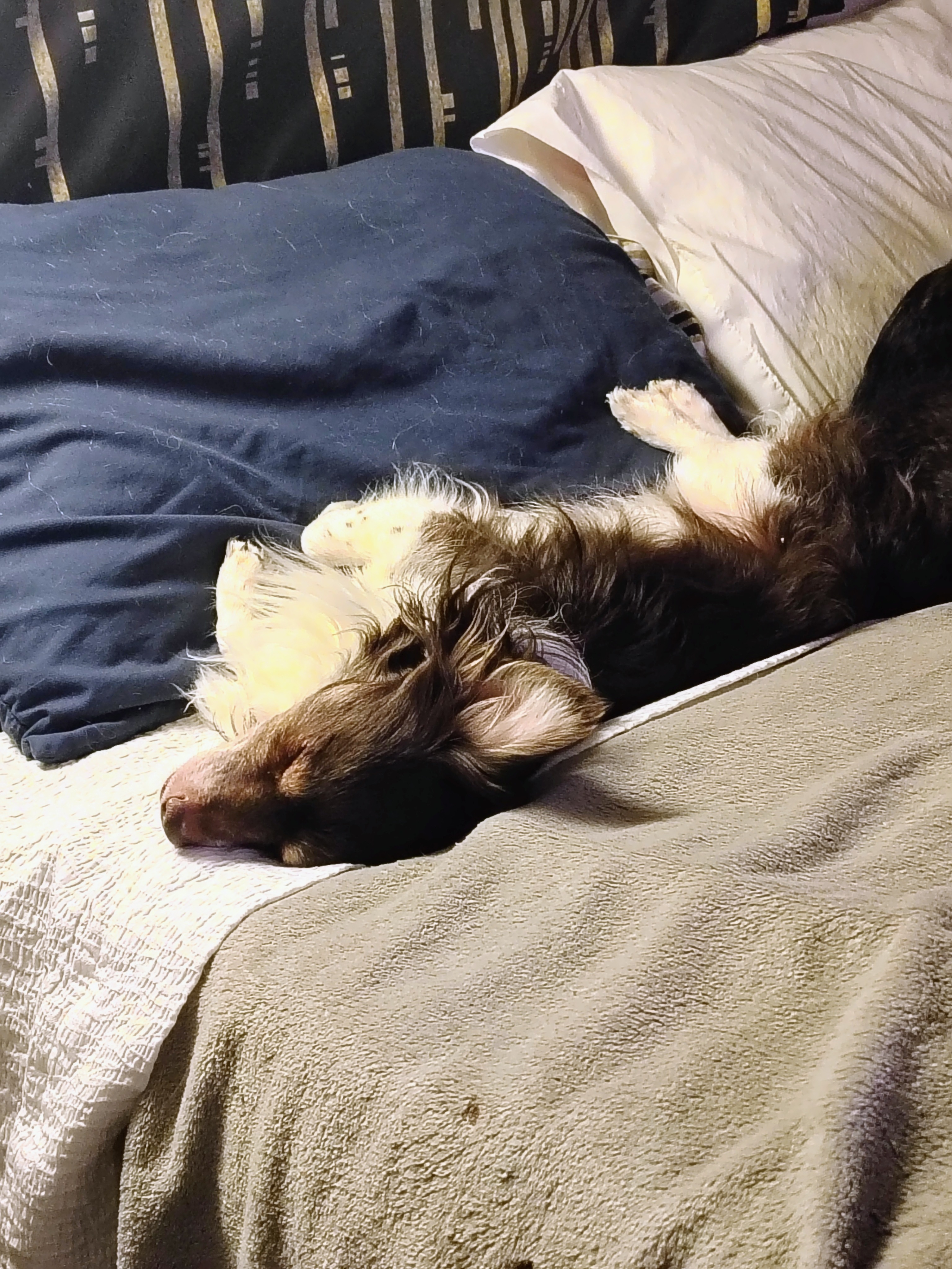 Help Kushie Get Lifesaving Surgery campaign photo, 6 of 8