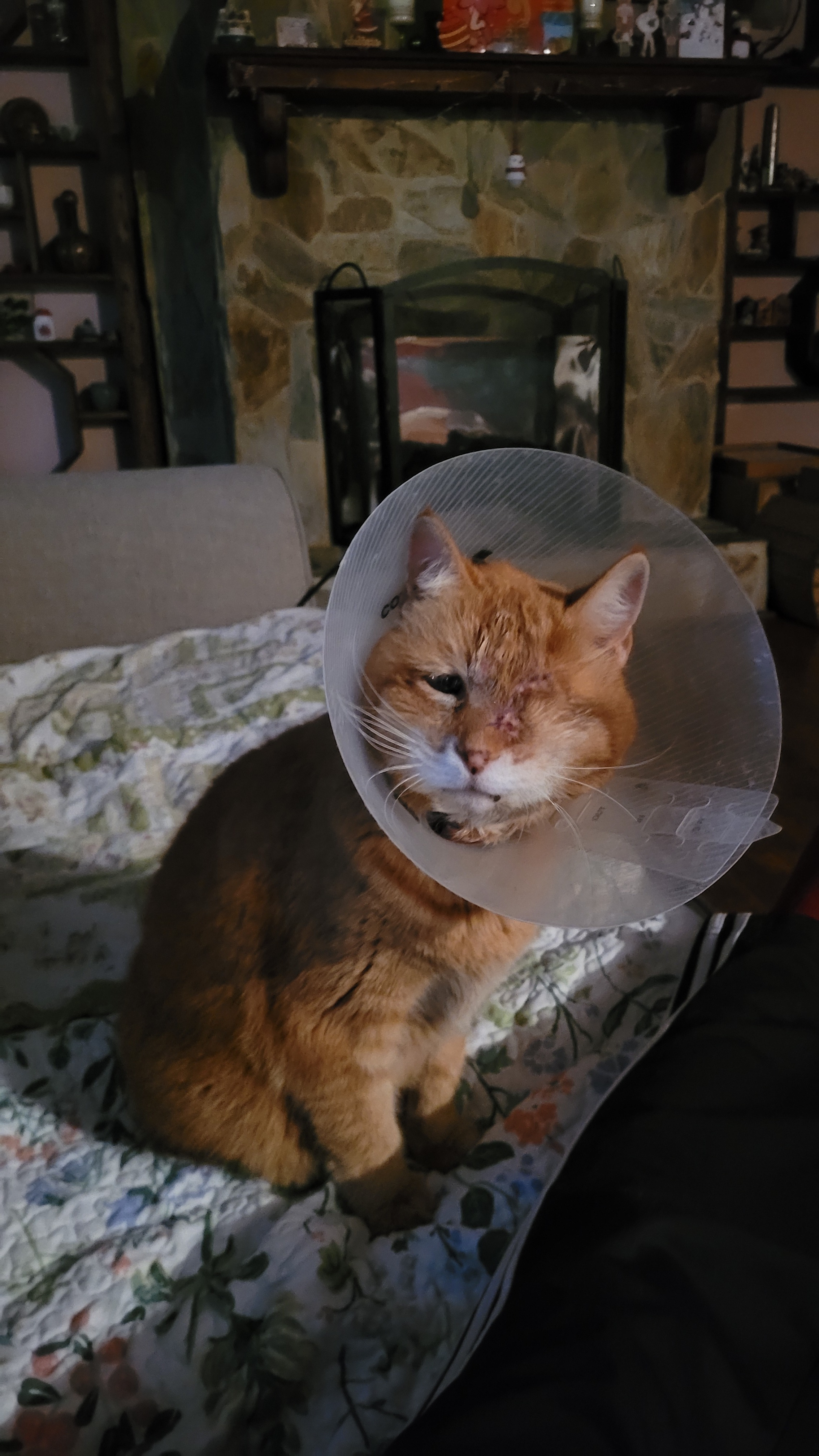 Support Twinkle in getting a CT Scan and Treatment campaign photo, 6 of 7