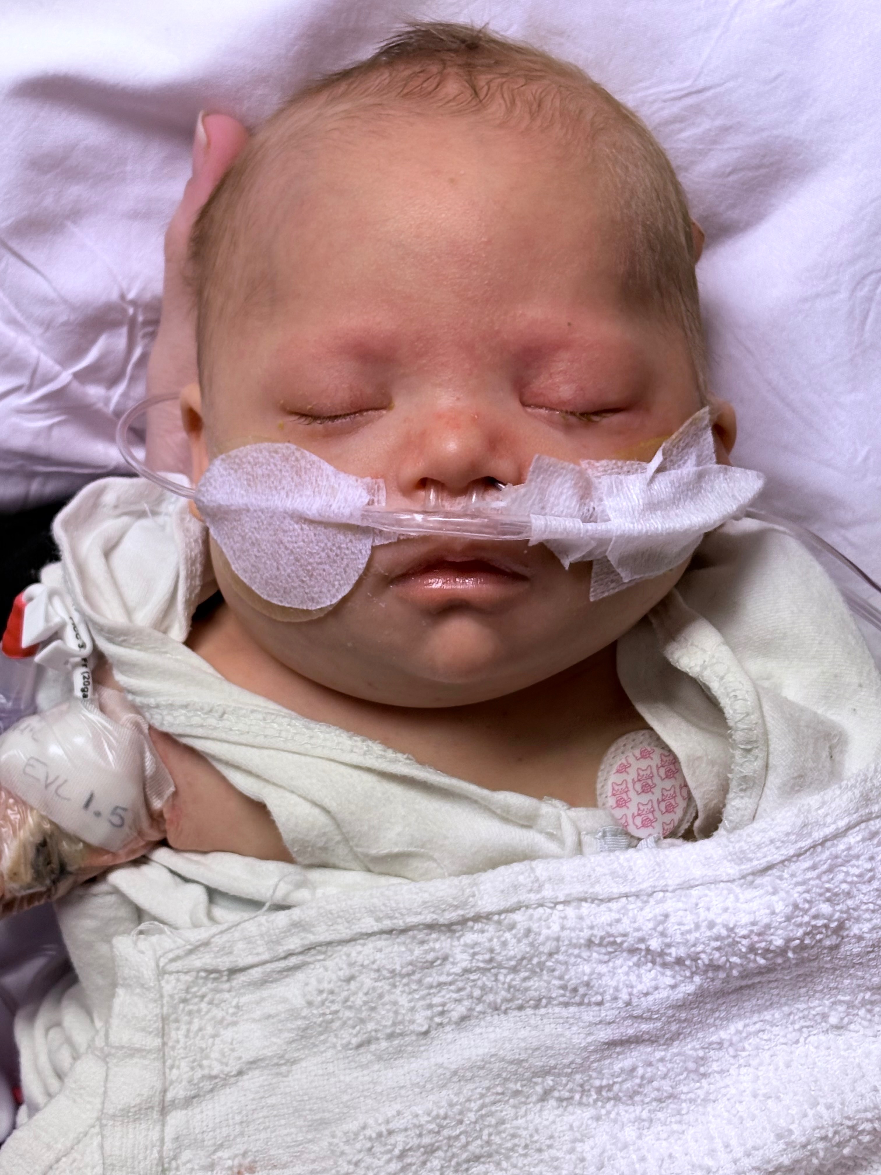 Support for Luca Howell's Family campaign photo, 6 of 7