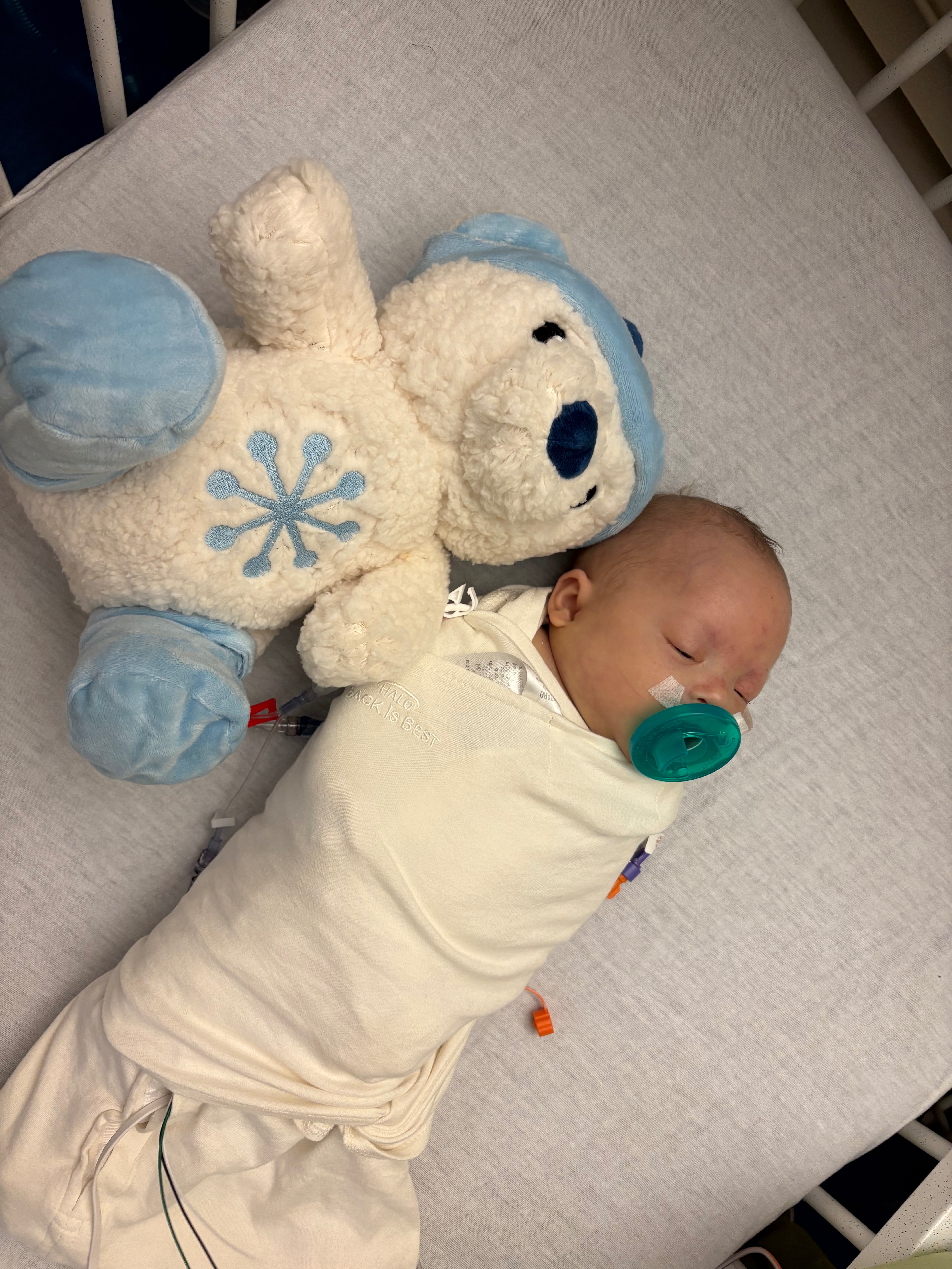 Support for Luca Howell's Family campaign photo, 5 of 7