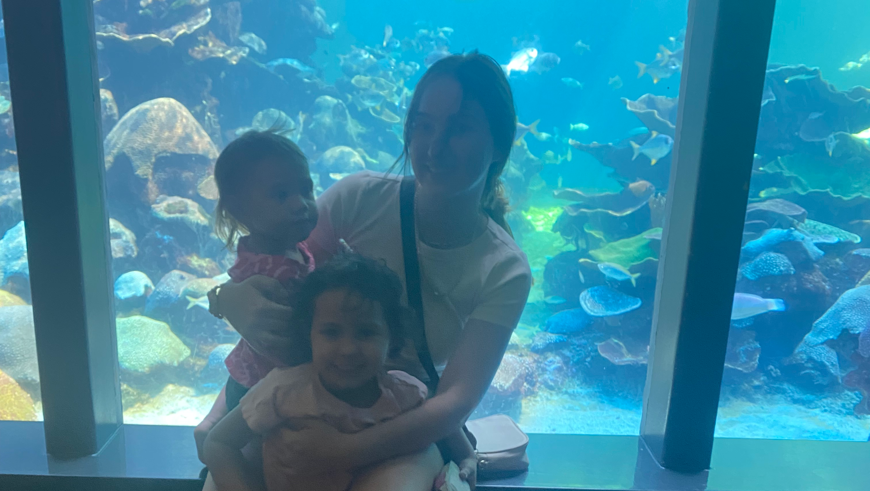 Help us reach 5k to repair our car! photo