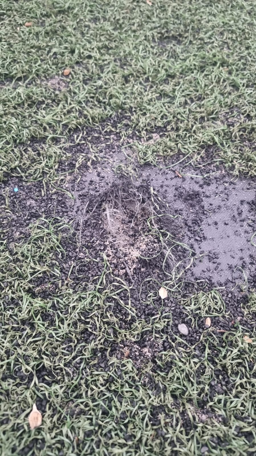 ⚽ Gemeinsam für die Soccerfeldreperatur in unserem Dorf campaign photo, 4 of 6
