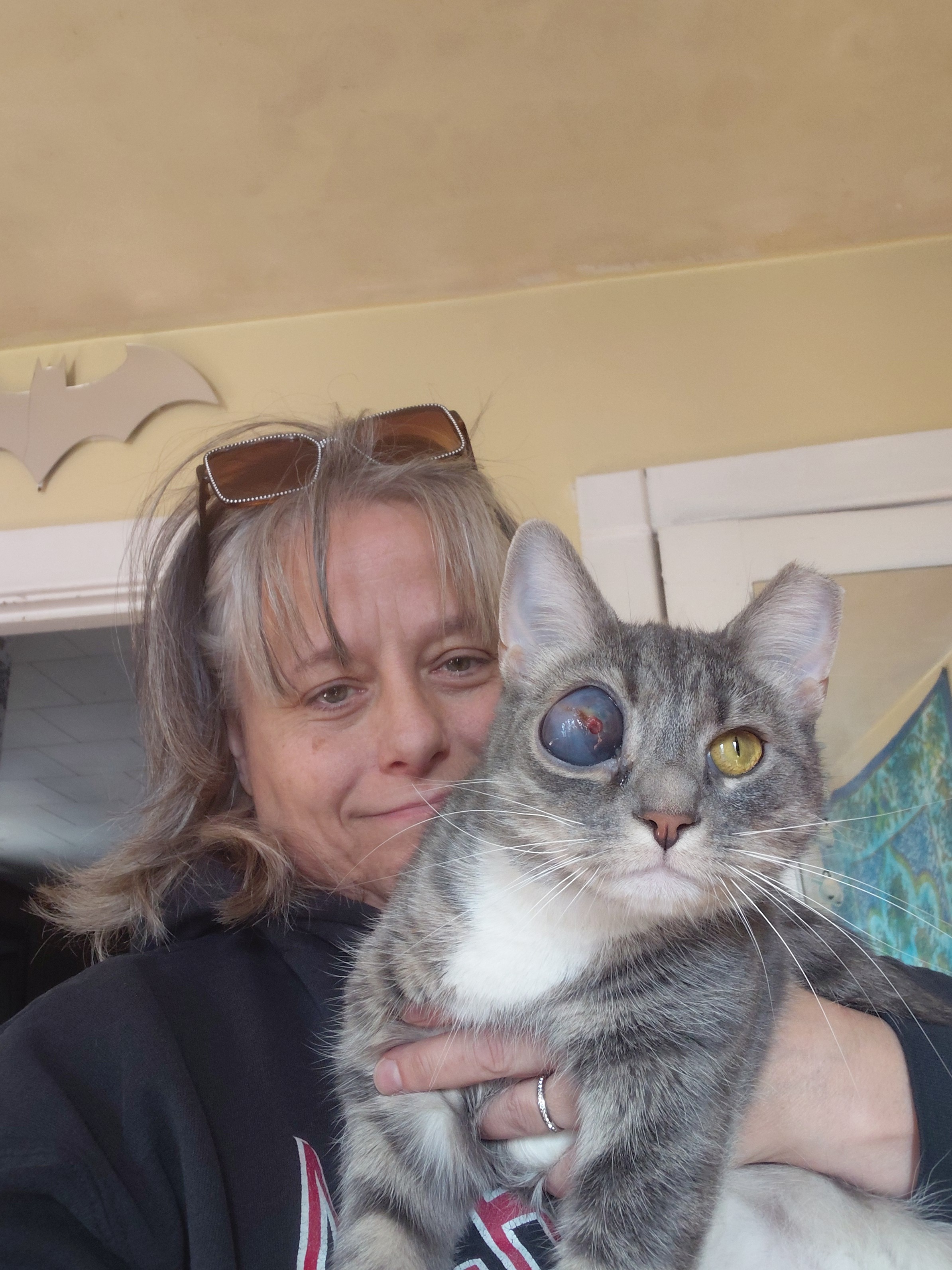Help My Rescued Cat Get Urgent Eye Care campaign photo, 7 of 8