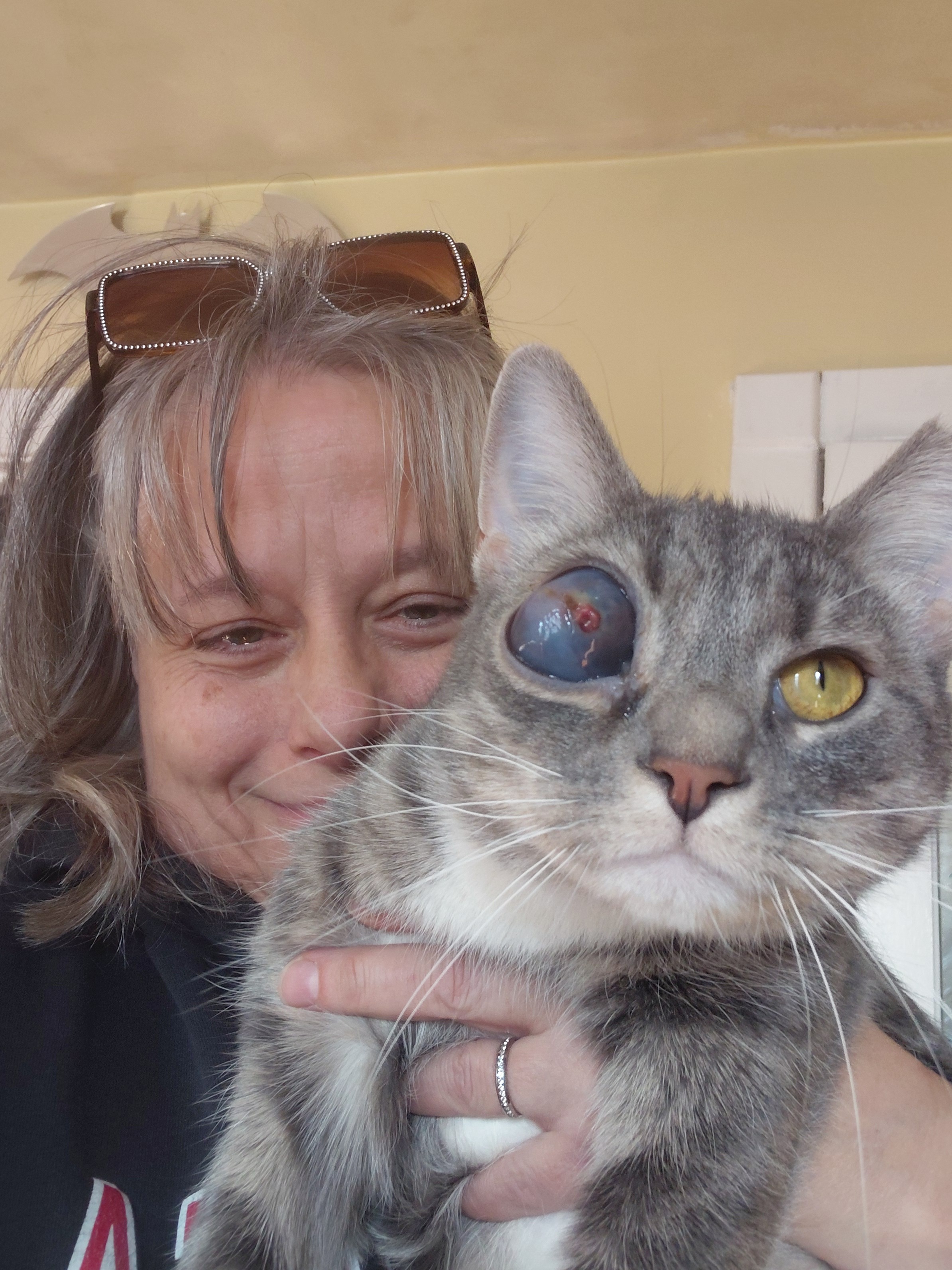 Help My Rescued Cat Get Urgent Eye Care campaign photo, 2 of 8