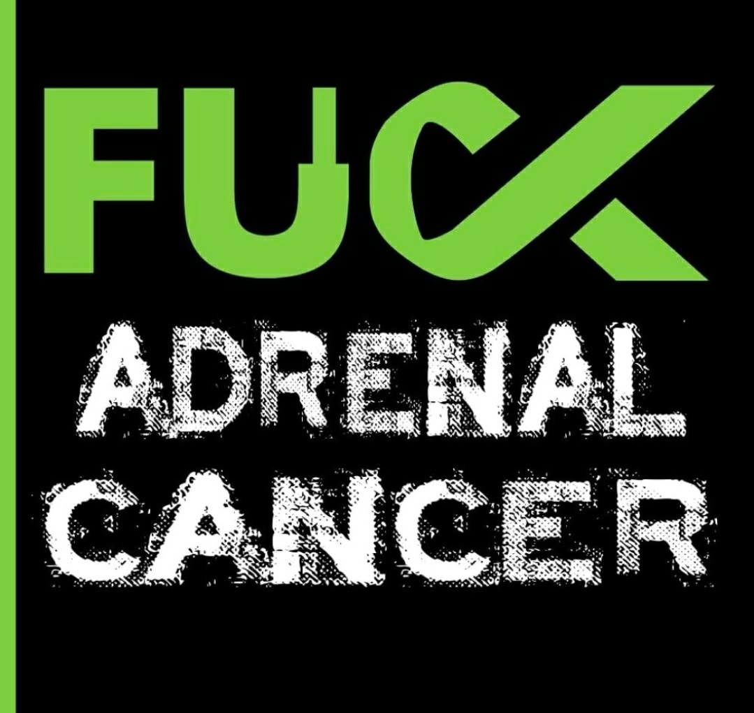 Niki's Fight Against Cancer campaign photo, 4 of 5