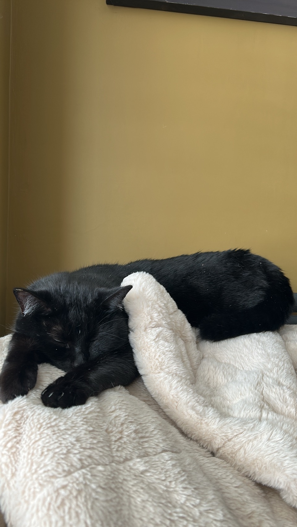 Help donate towards County Road Indoor Rescue campaign photo, 7 of 8