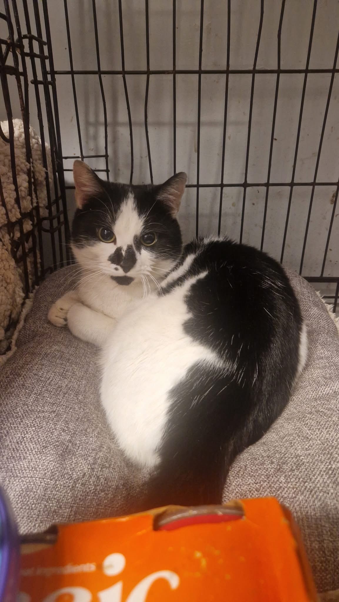 Help donate towards County Road Indoor Rescue campaign photo, 4 of 8