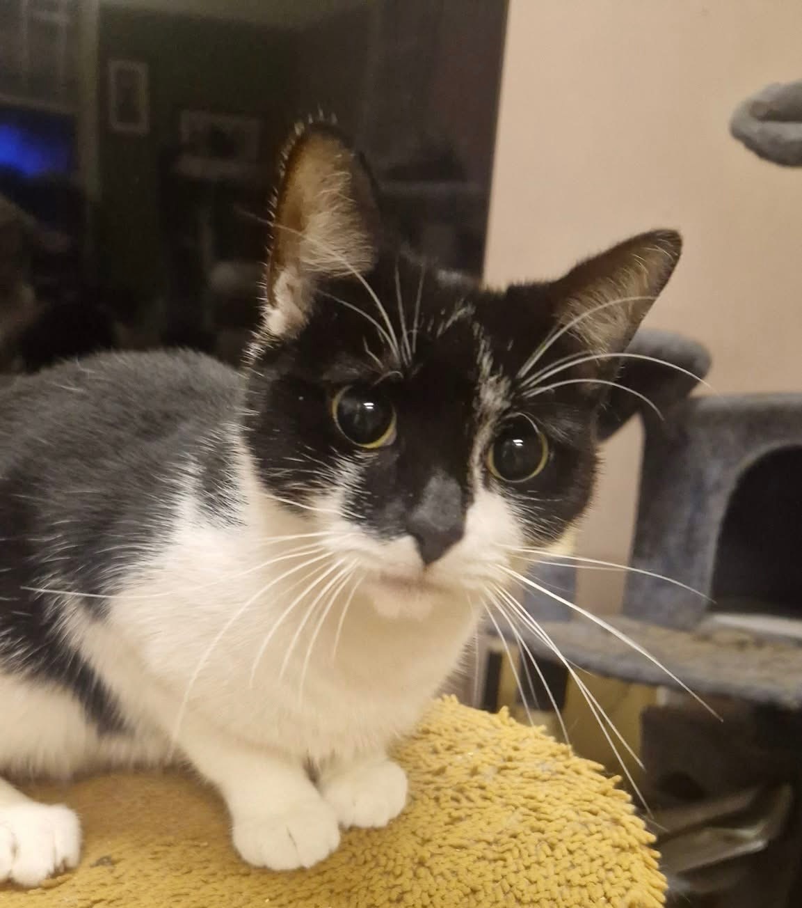 Help donate towards County Road Indoor Rescue campaign photo, 6 of 8