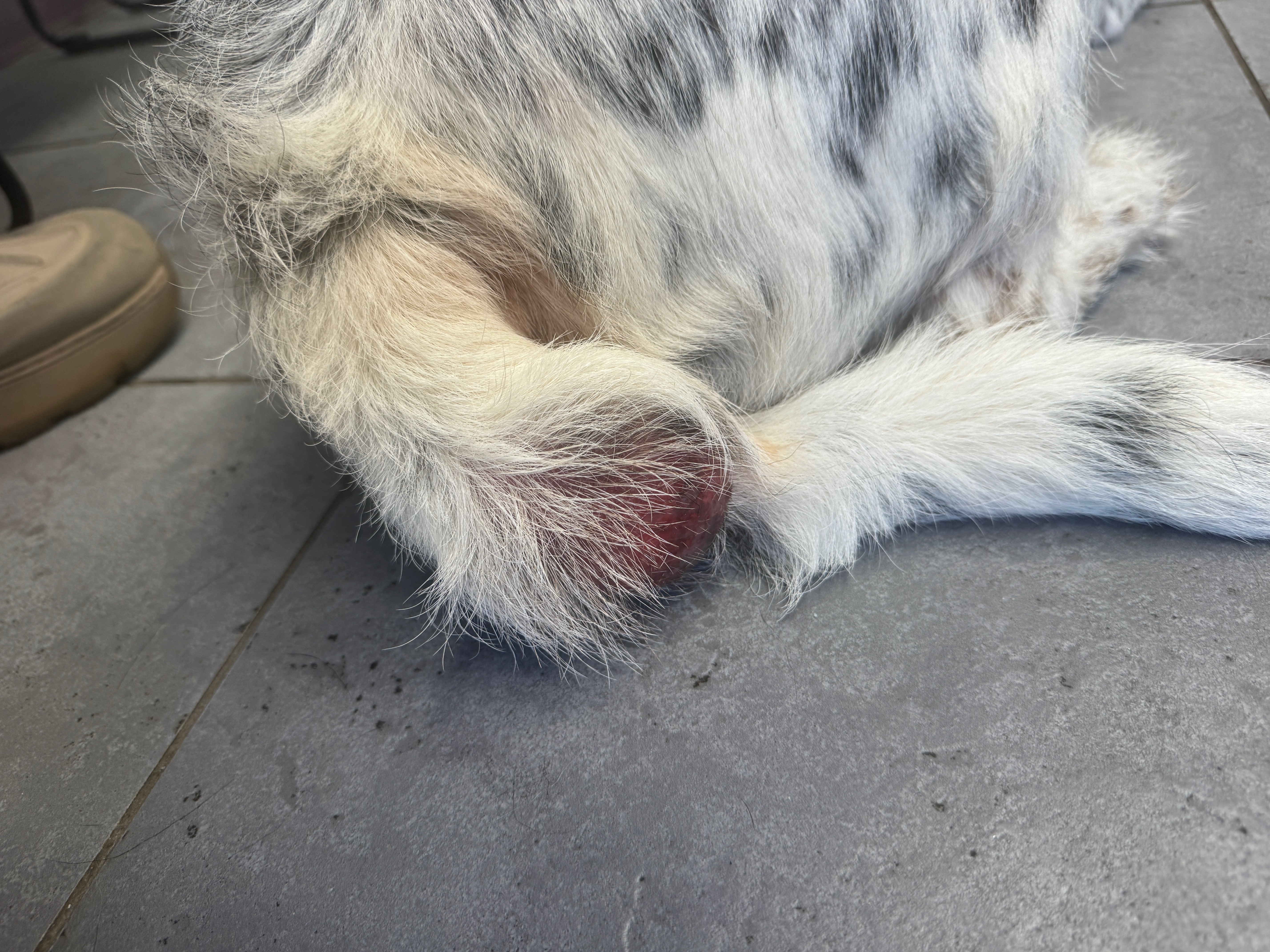 Support Artie's Urgent Cancer Surgery campaign photo, 6 of 8