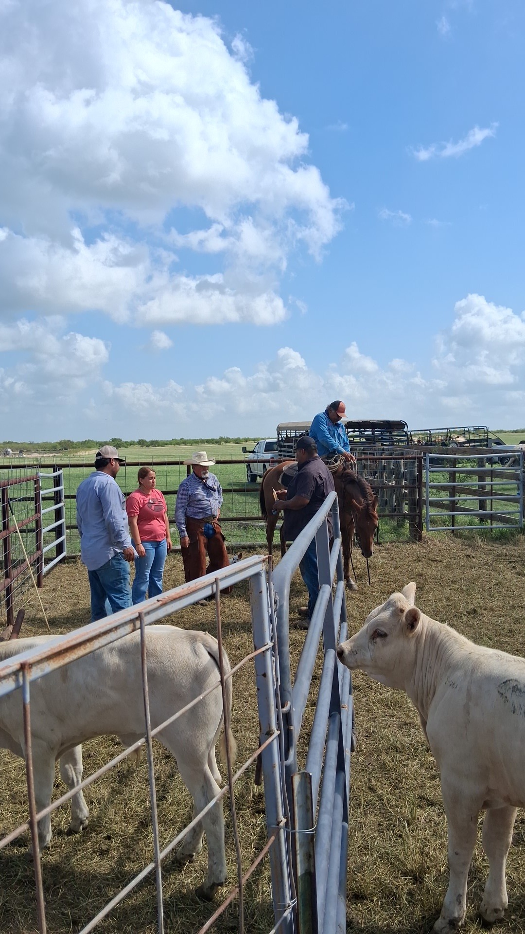 Aid Big Edward's Journey Back to Cowboyin campaign photo, 6 of 7