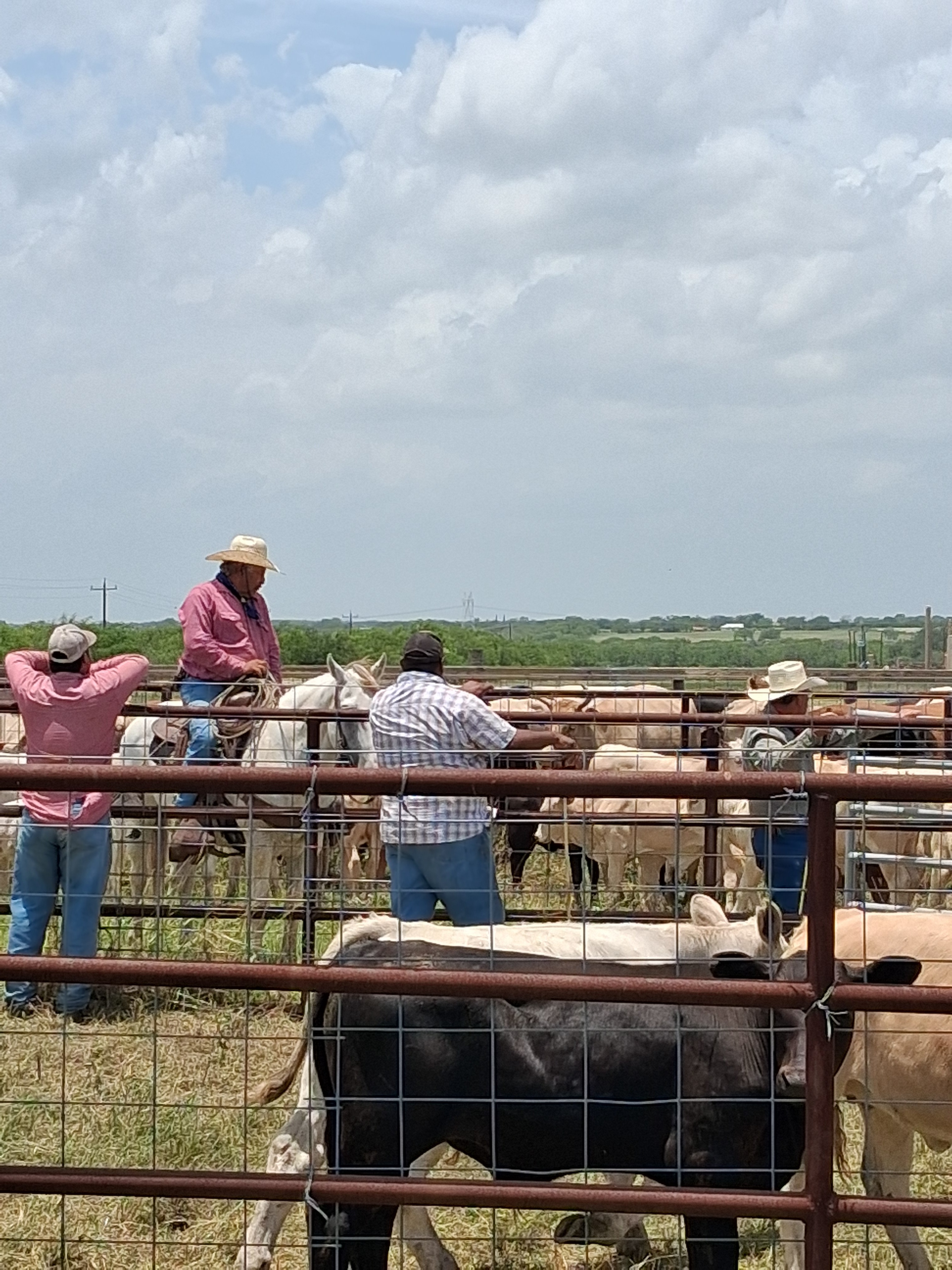 Aid Big Edward's Journey Back to Cowboyin campaign photo, 4 of 7