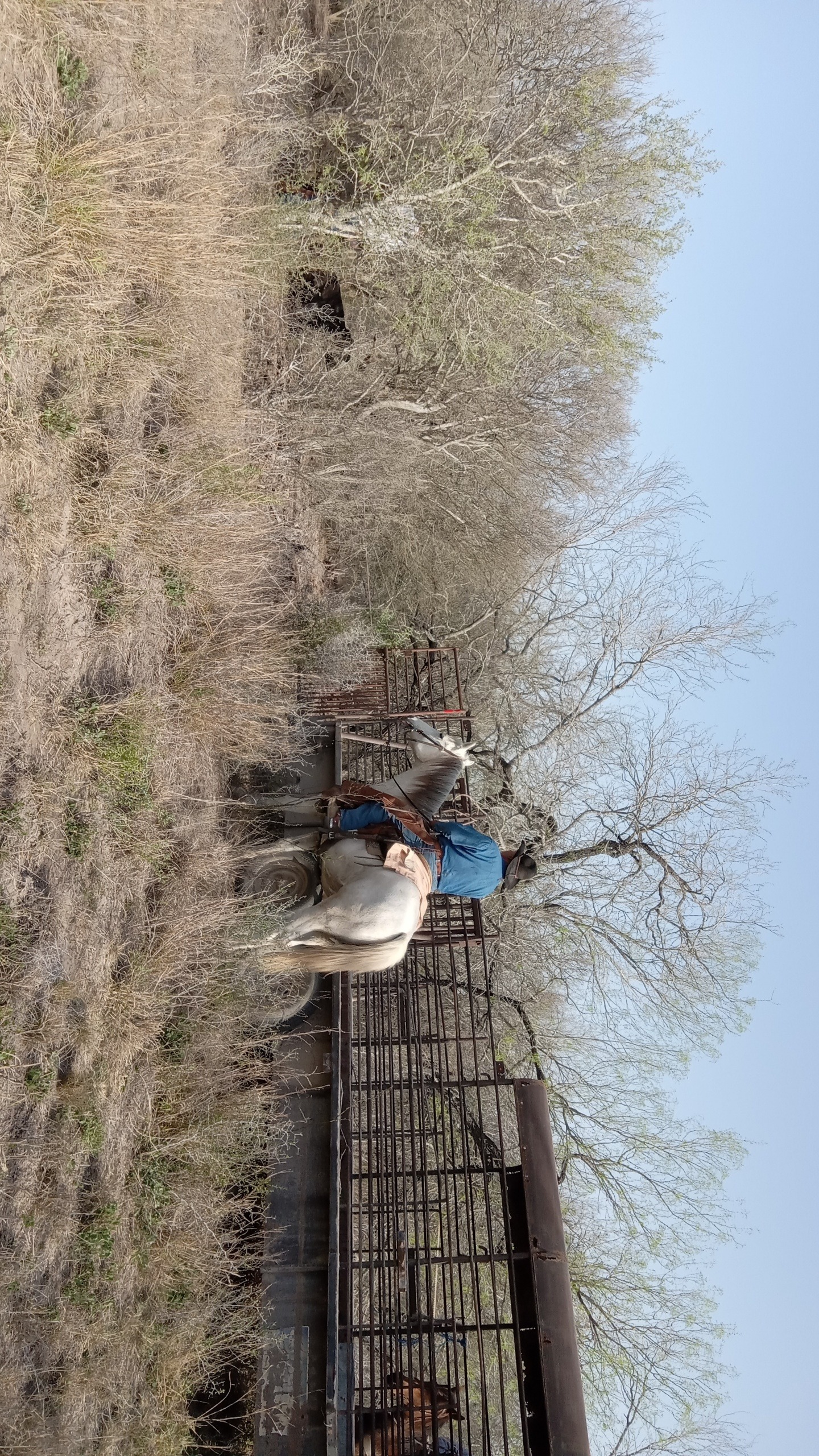 Aid Big Edward's Journey Back to Cowboyin campaign photo, 5 of 7