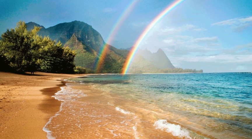 Support My Dream Graduation Trip to Hawaii campaign photo, 2 of 4