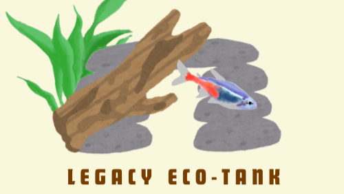 Help Us Build a Living Classroom Aquarium photo