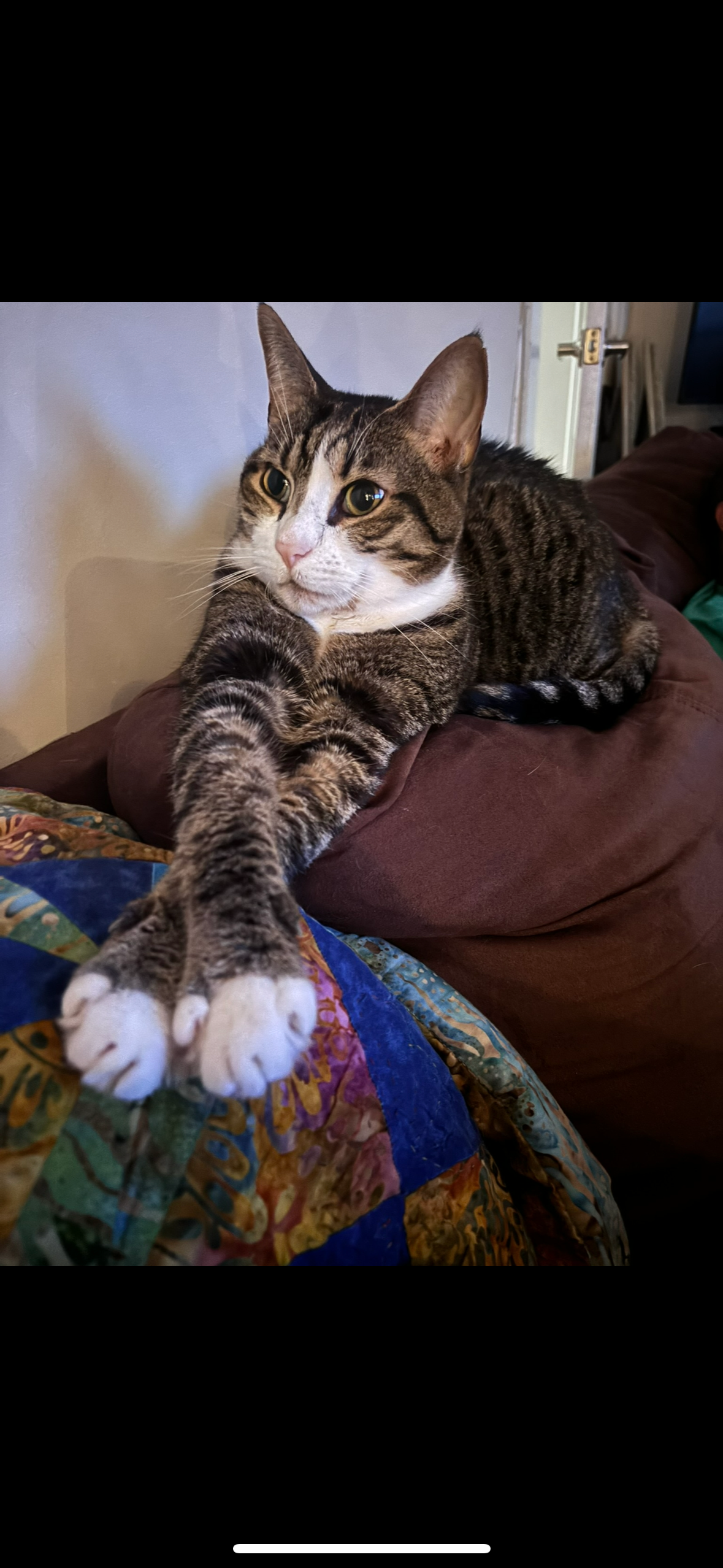 Help Quincy Fight Liver Cancer campaign photo, 4 of 8
