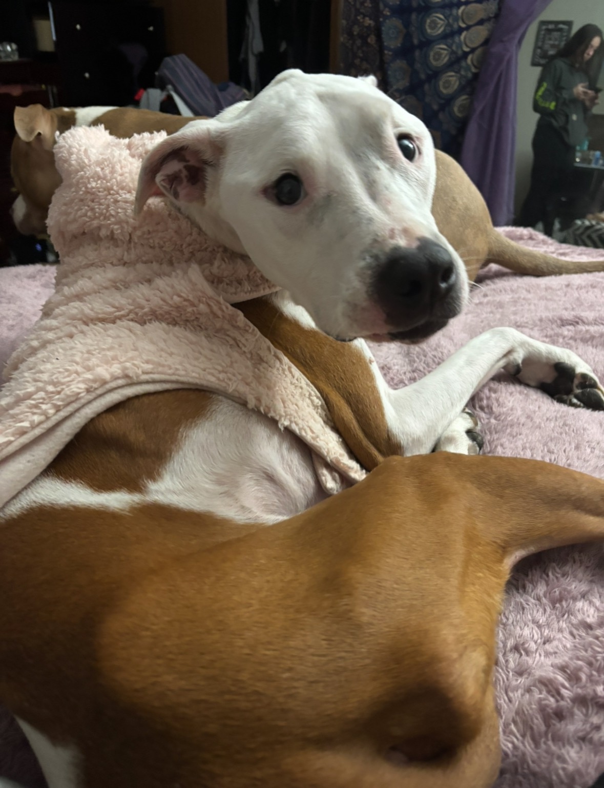 Support Daisy Mae’s Journey to Health campaign photo, 5 of 7