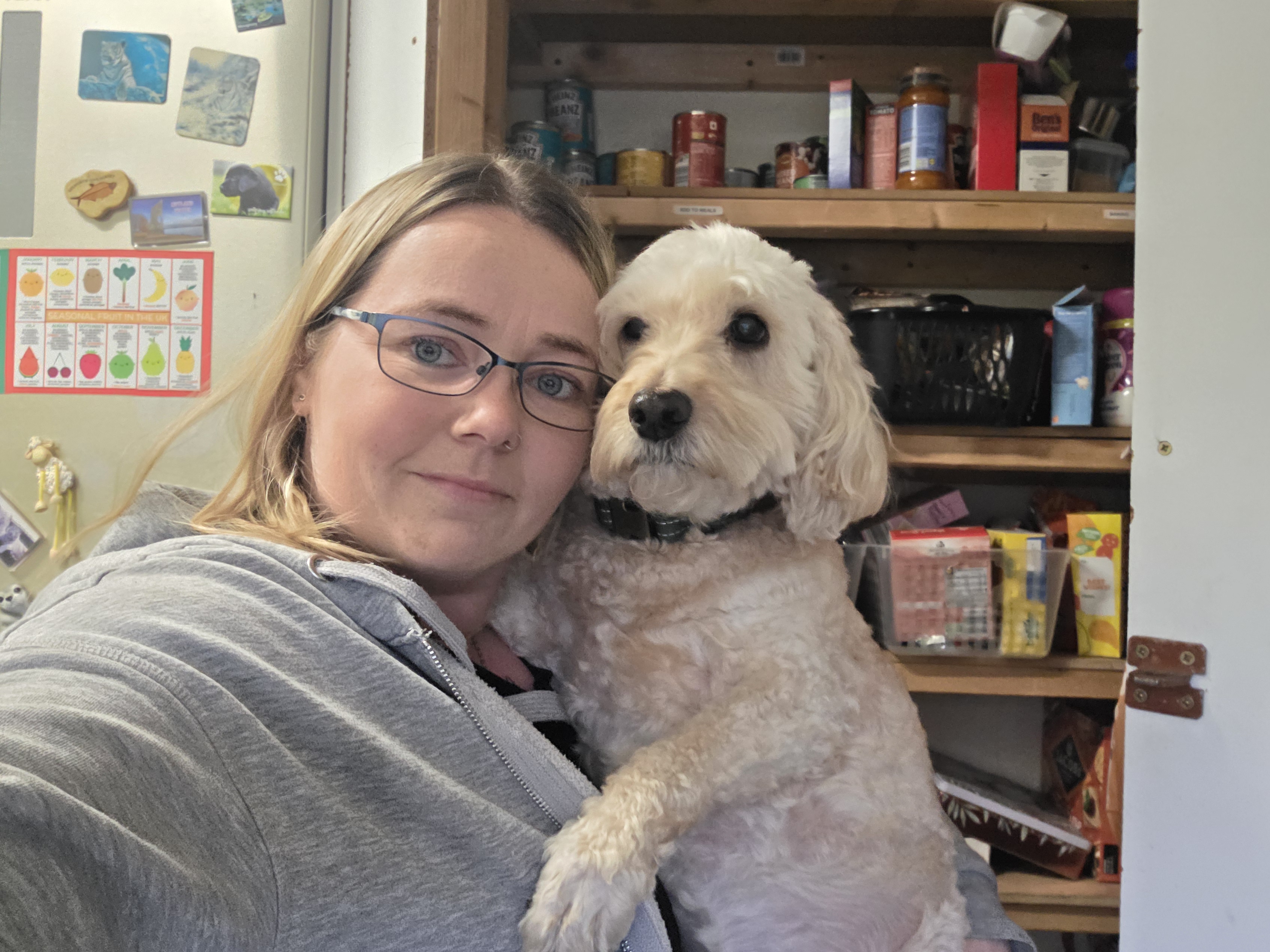 Help towards Alfies vet bills campaign photo, 6 of 8