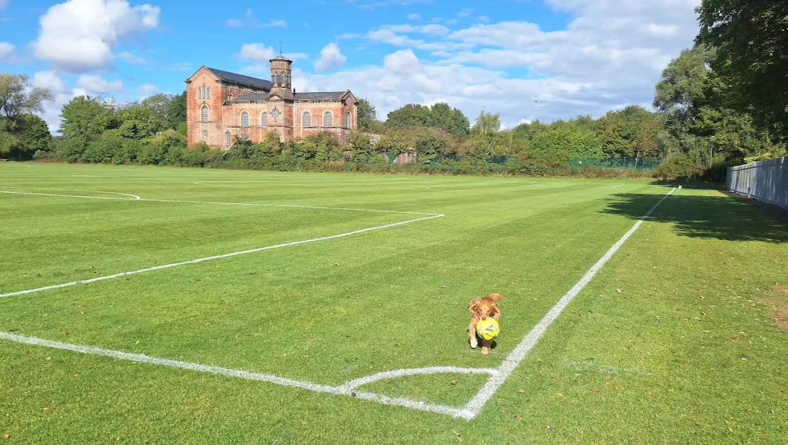 Springhead Fc Fundraiser by Springhead Football Club : Help Springhead FC build a ...