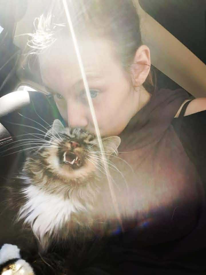 Kitty Kate campaign photo, 5 of 8