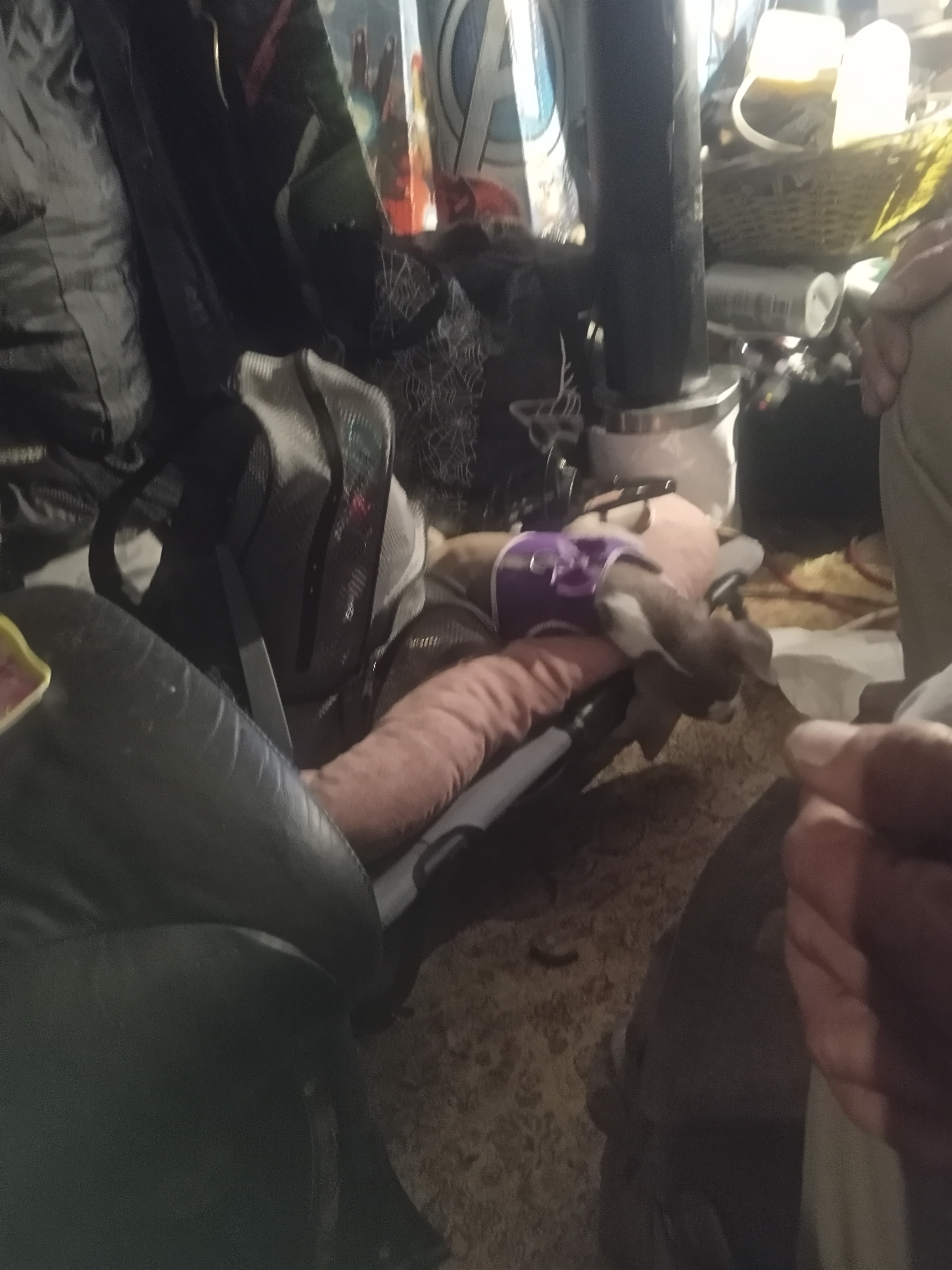 Stranded in Nevada, Need Help to Get Home campaign photo, 2 of 6