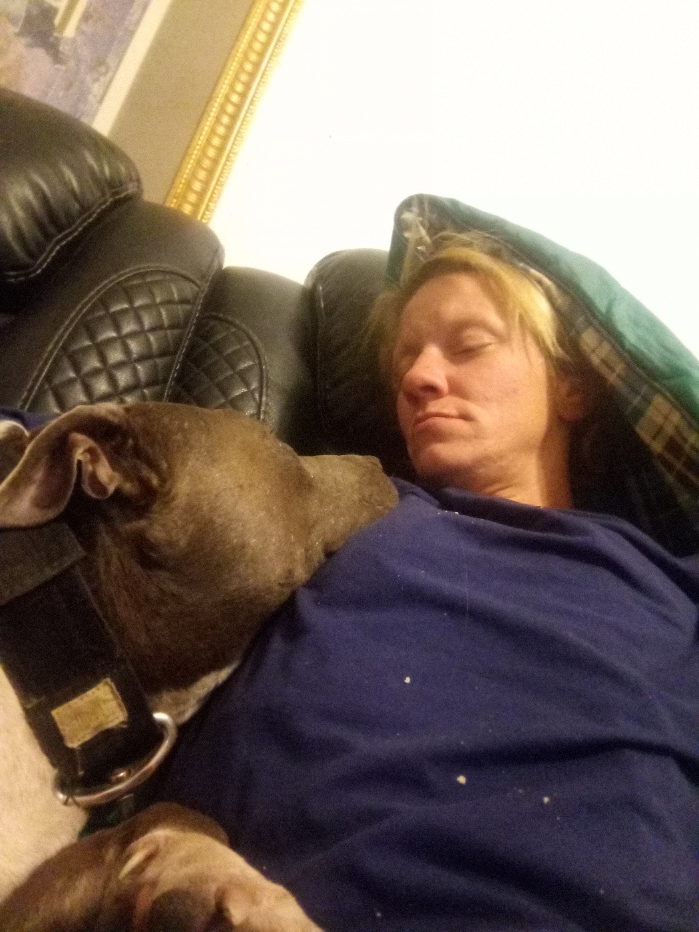 Stranded in Nevada, Need Help to Get Home campaign photo, 4 of 6