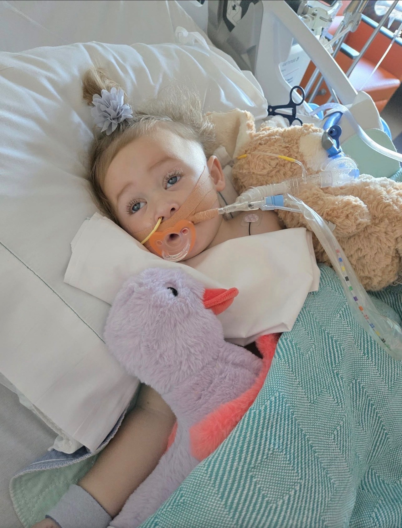 Help My Baby Sister Recover campaign photo, 7 of 8