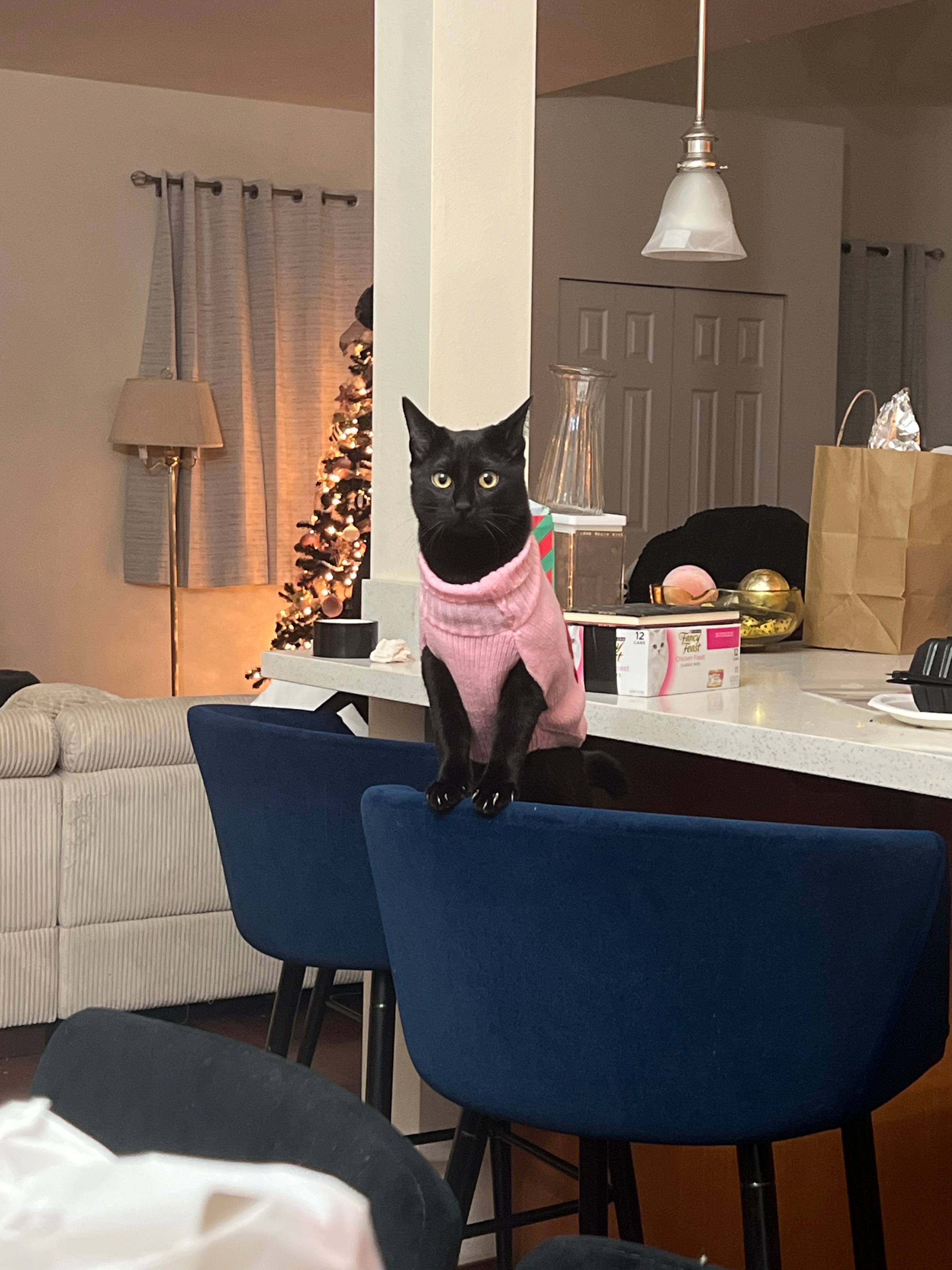 Urgent Surgery for Baby Mavis's Survival campaign photo, 6 of 6