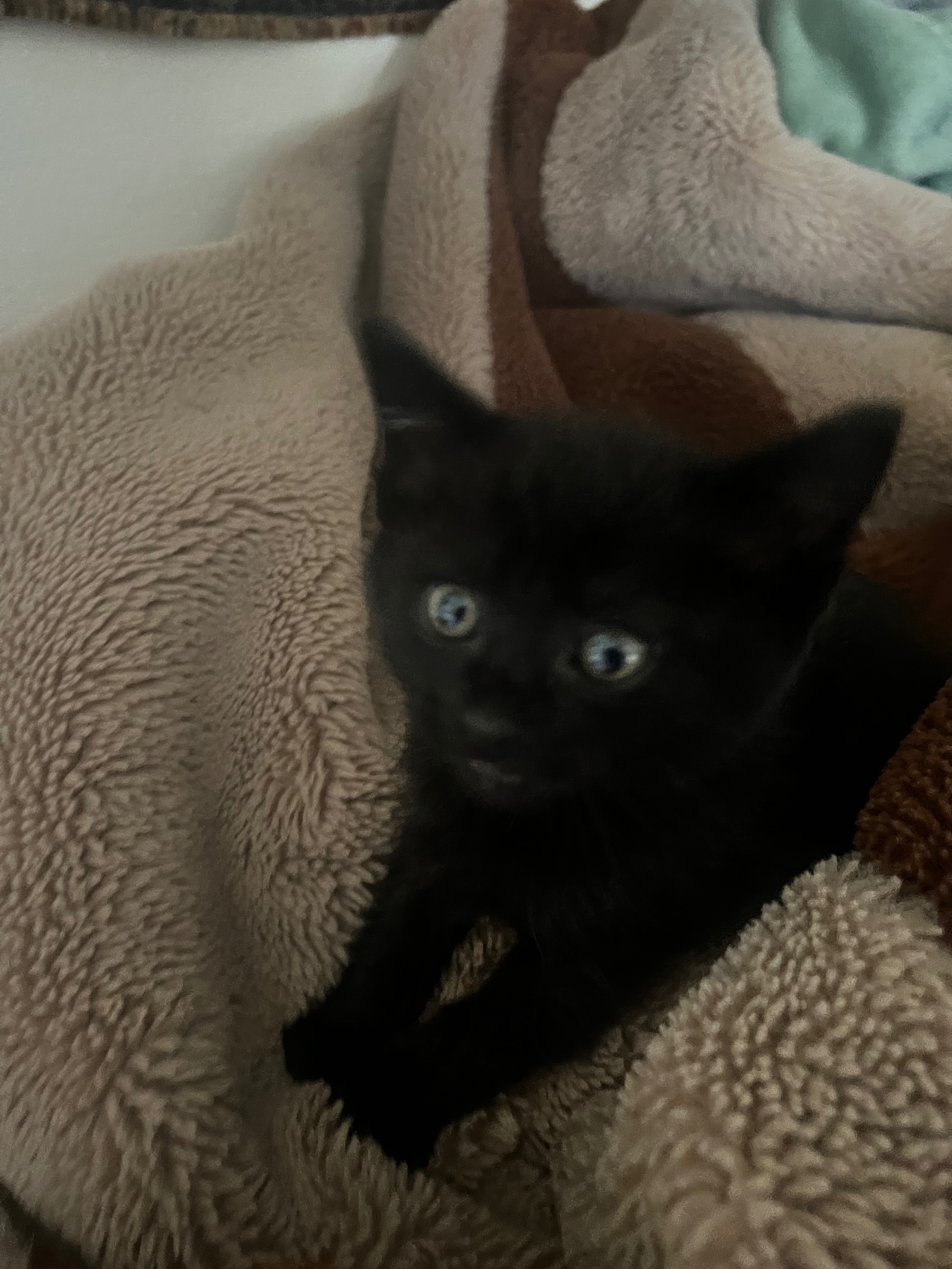 Urgent Surgery for Baby Mavis's Survival campaign photo, 4 of 6