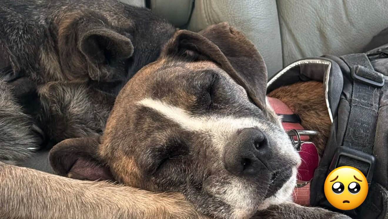 sans-abris, homeless photo