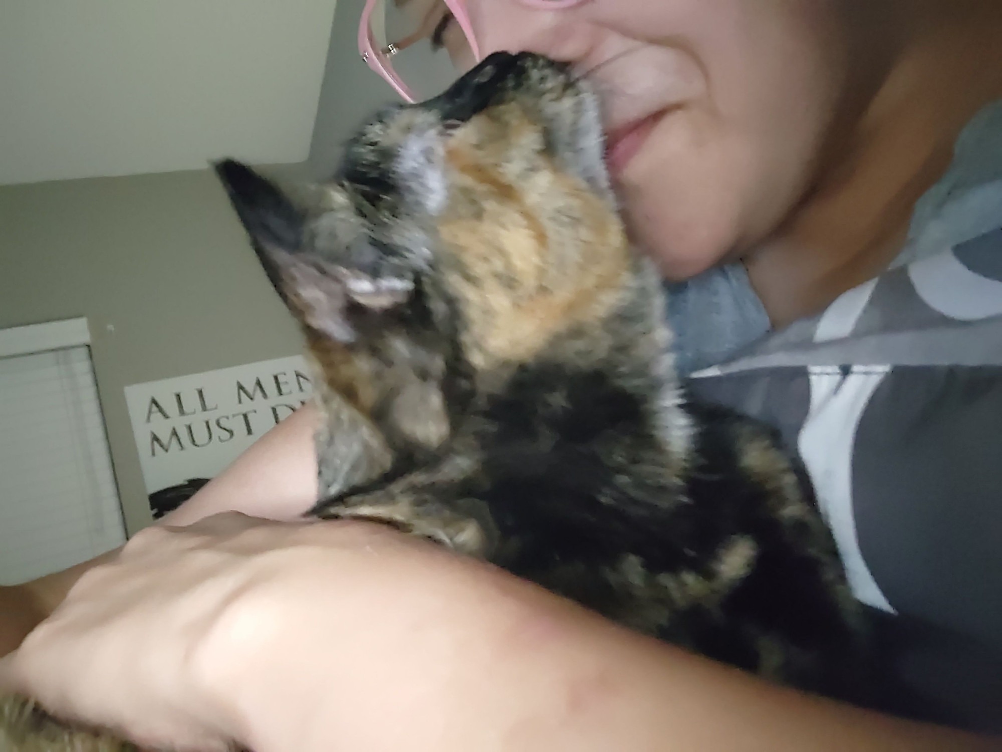 Support Rotini and Her Owner in Crisis campaign photo, 6 of 7