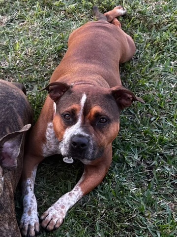 Help Rita Get Her Surgery and Heal campaign photo, 6 of 8
