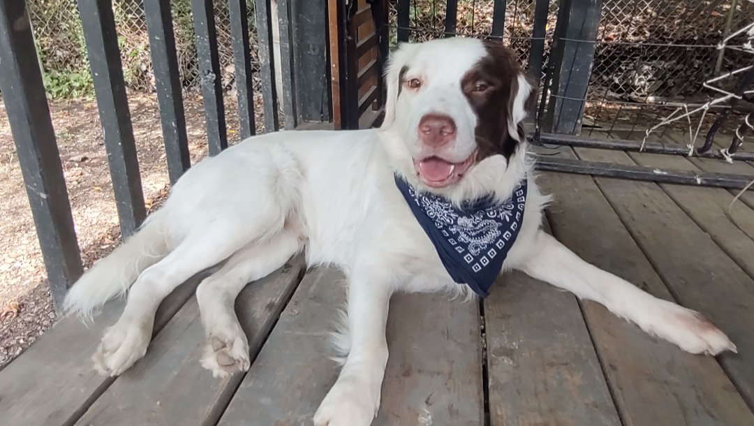 Help Ajay Get the Care He Needs photo