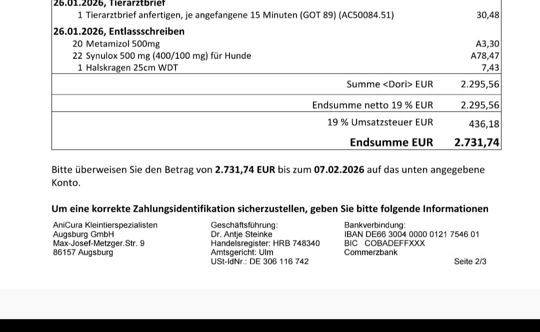 Spendenaufruf für Dori campaign photo, 5 of 7