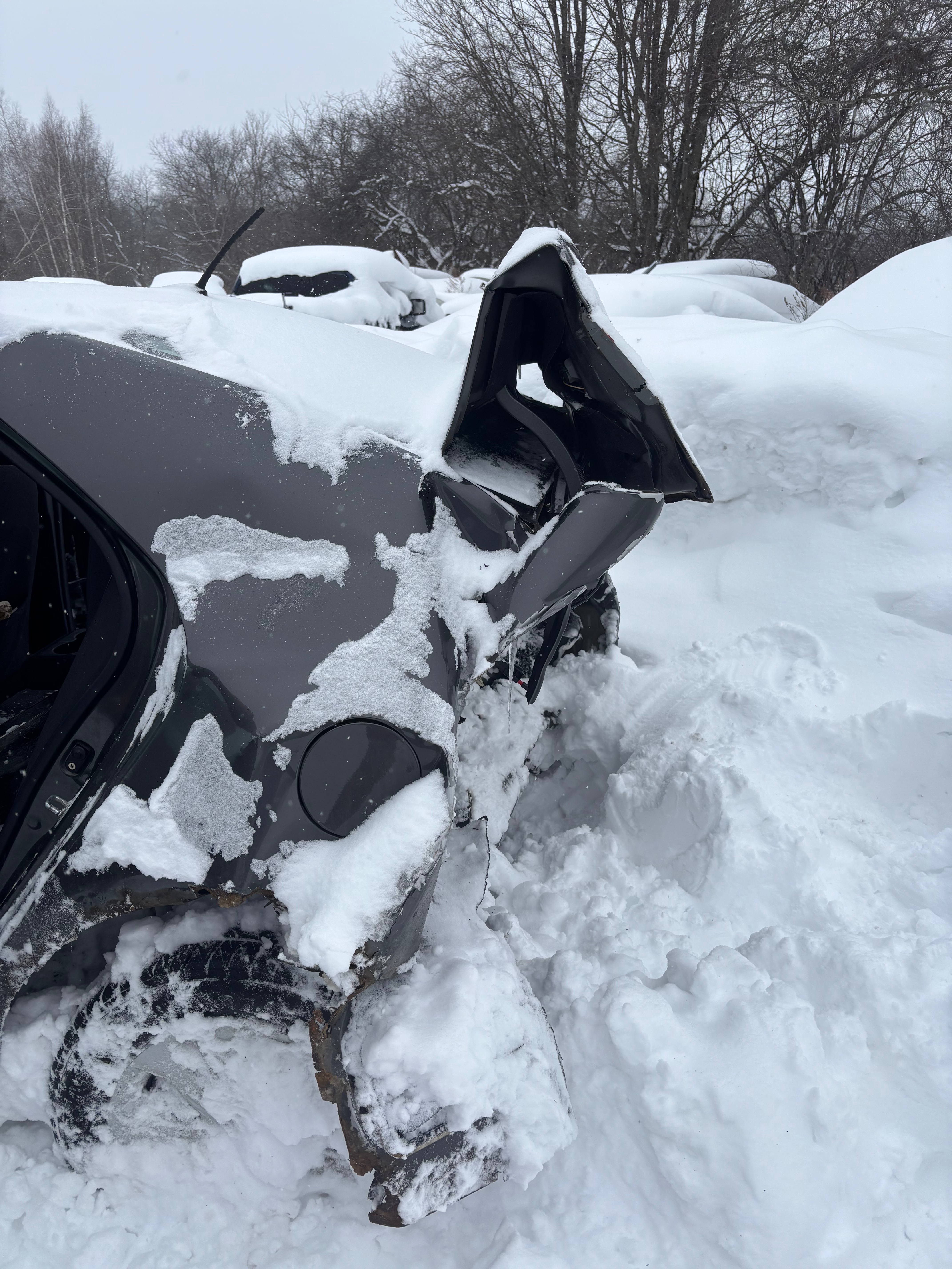 Fundraiser by Nicole Davis : Support Lisa After Hit-and-Run Accident
