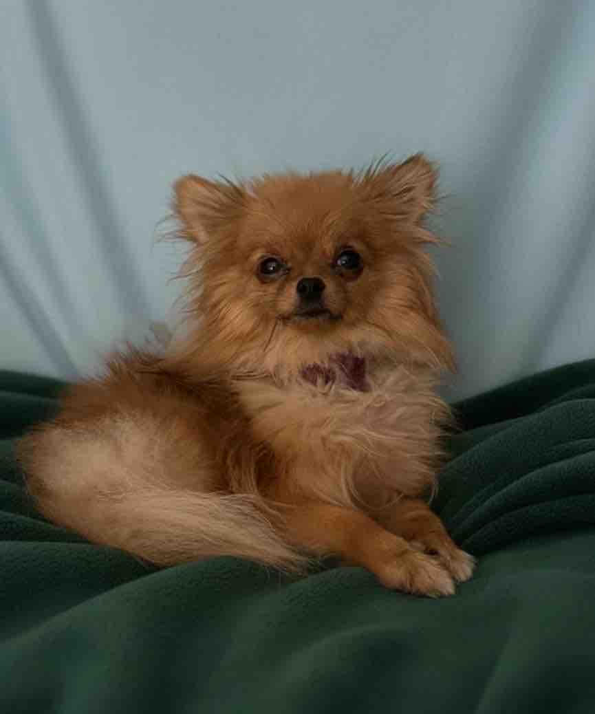 Luna 1 anno campaign photo, 2 of 4