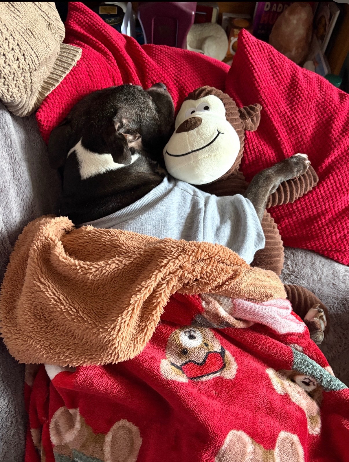 Help replace what was lost in a house fire campaign photo, 4 of 6