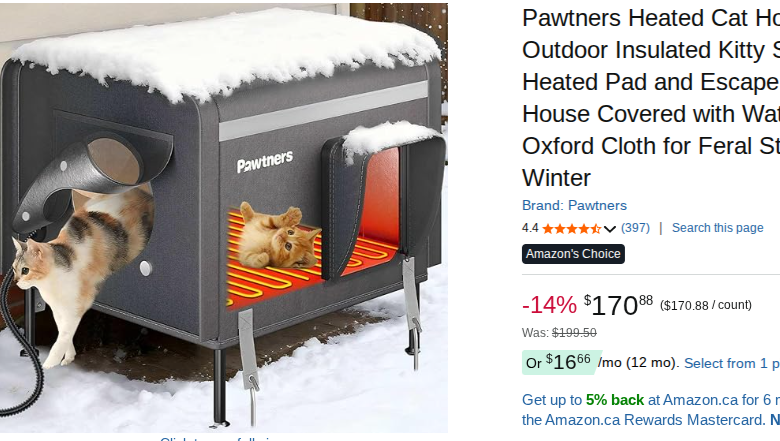 help stray cats and dogs eat and stay warm photo