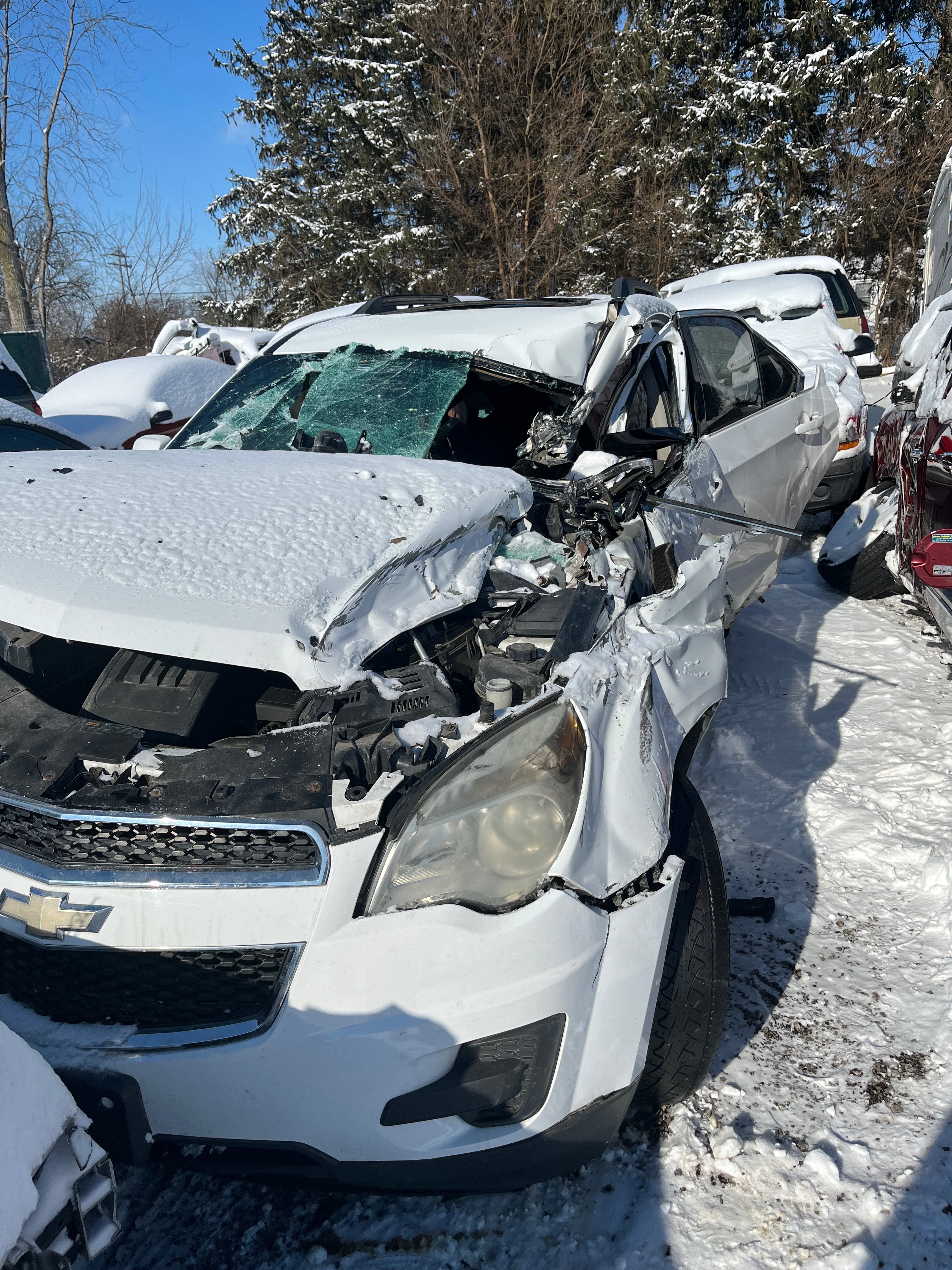Support for Our Family After a snow plow hit my boyfriend . campaign photo, 4 of 8