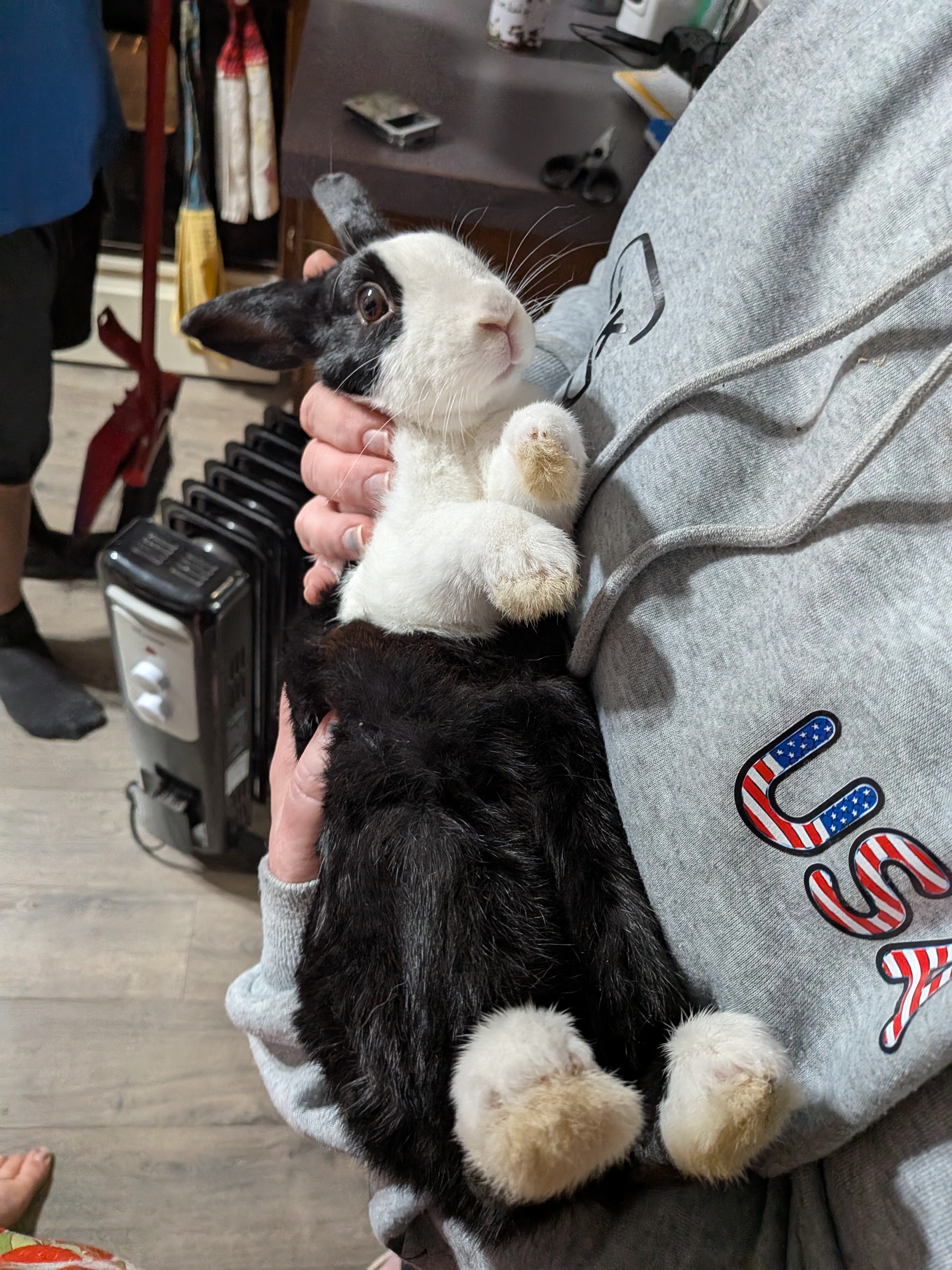 Help Millie Get Lifesaving Vet Care campaign photo, 5 of 7
