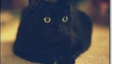 Support Lori's return to financial stability and health