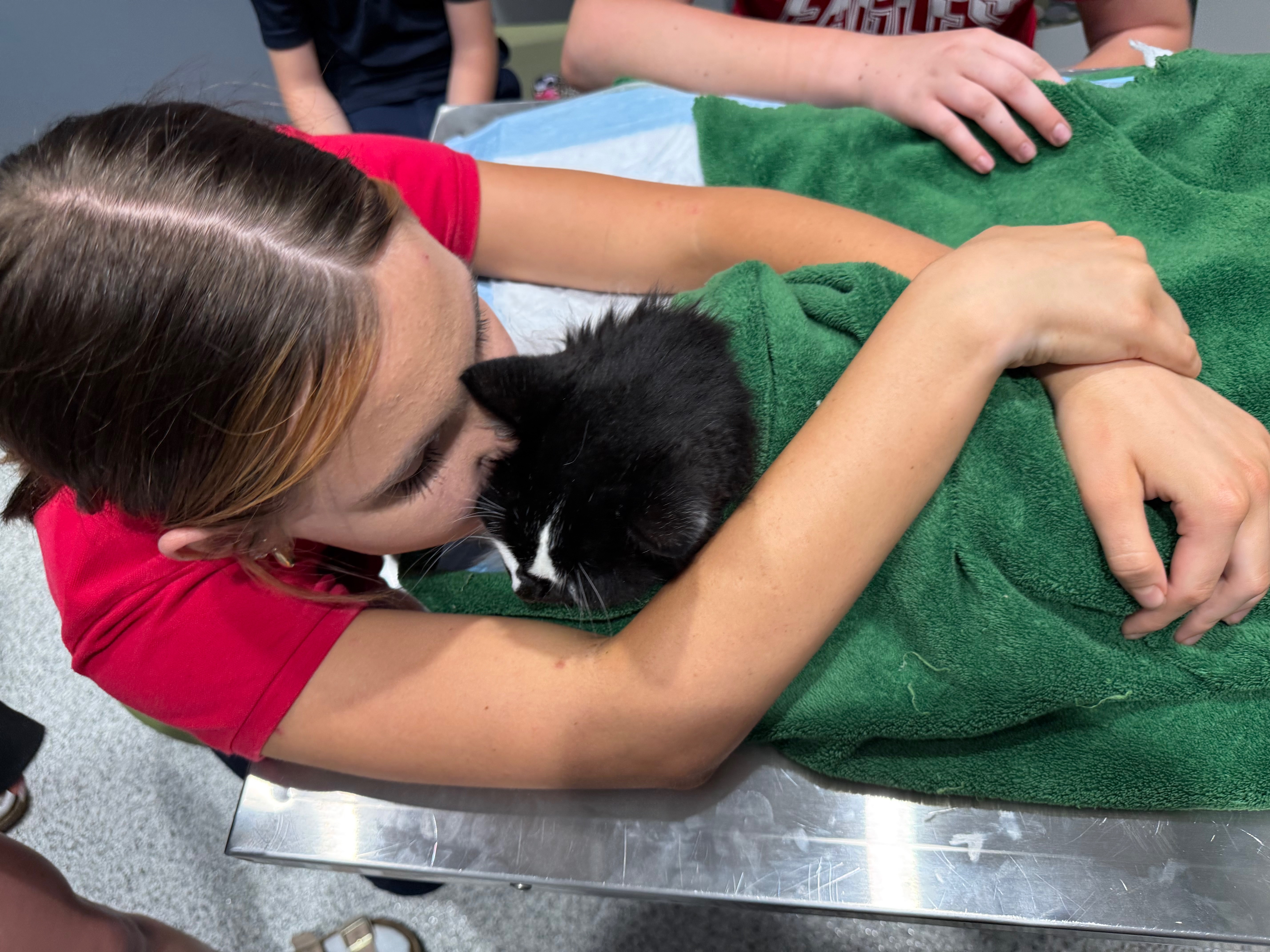Support Scooter’s Emergency Vet Care campaign photo, 4 of 7